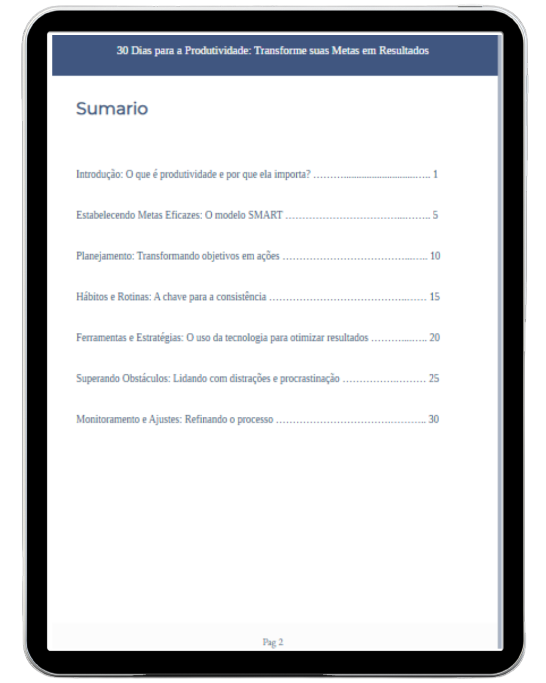 30 Dias para a Produtividade: Transforme suas Metas em Resultados