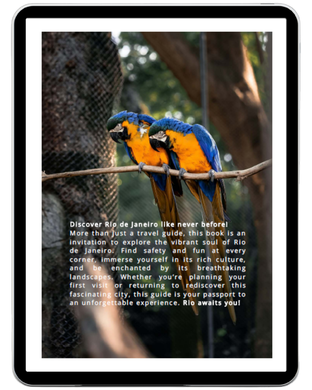 Rio de Janeiro Unlocked: Fun, Smart, and Safe Tourism