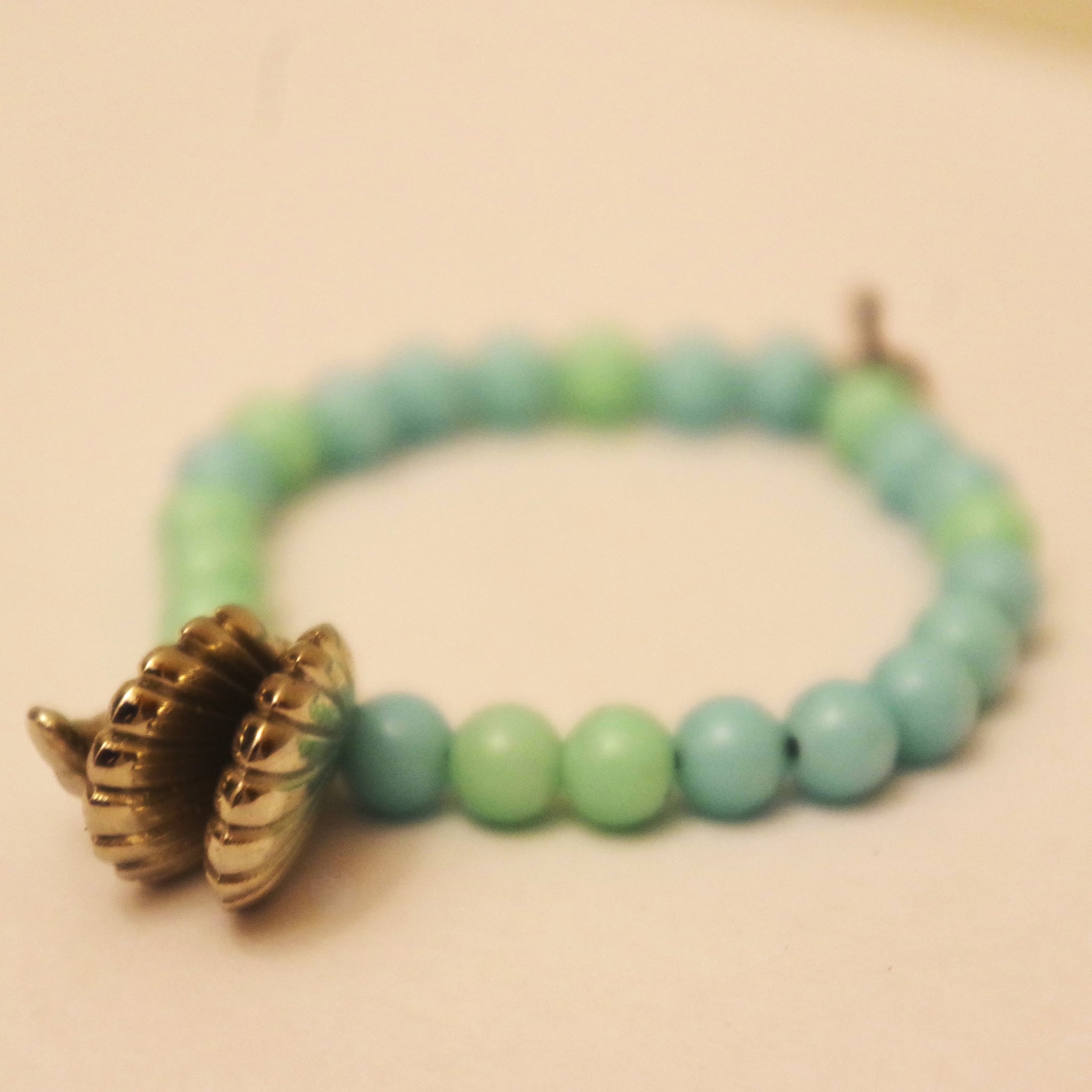  Coquillage de la mer 