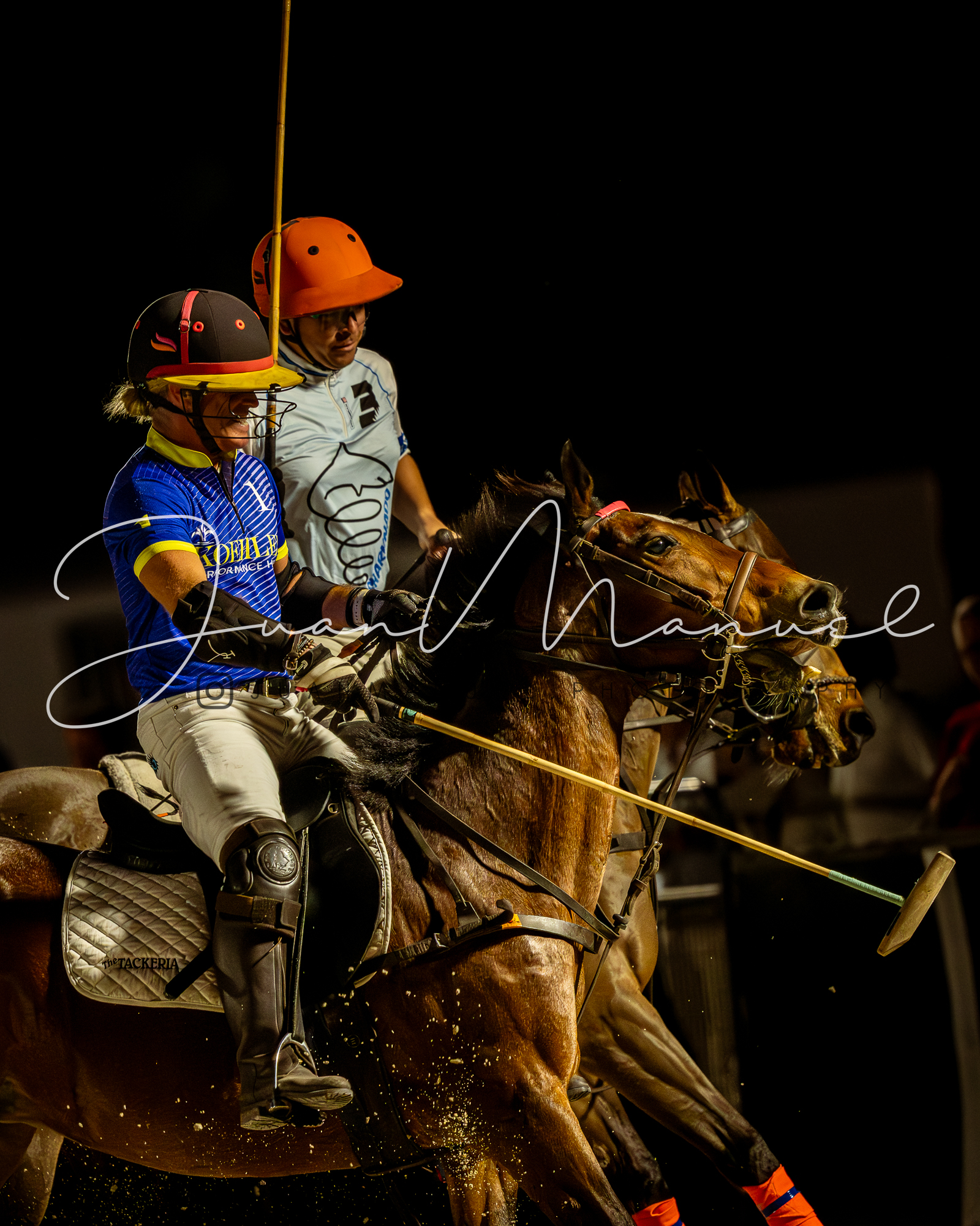 Dynamic Polo Match Digital Art $48 each - Arena Polo Friday 1/3