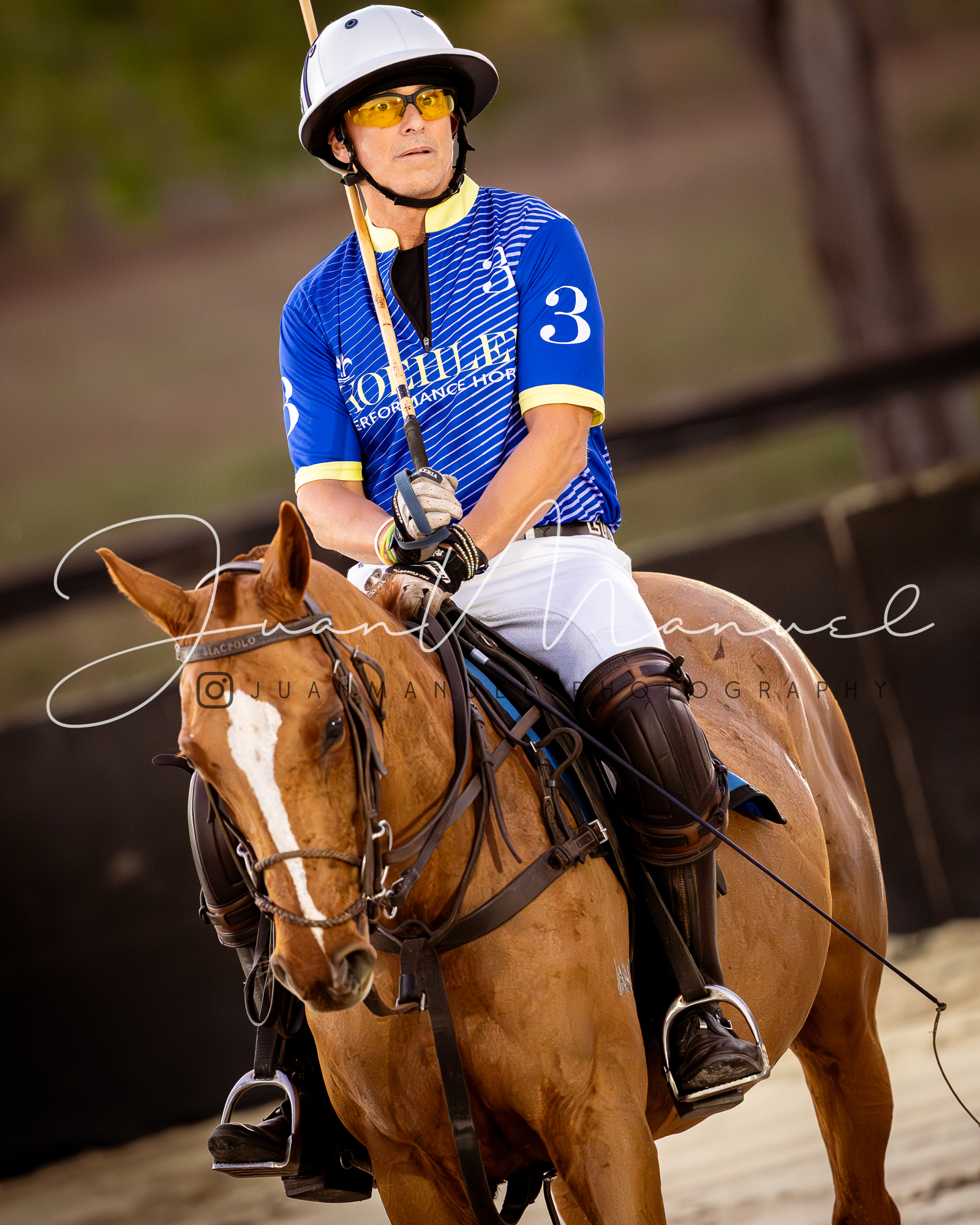 Dynamic Polo Match Digital Art $48 each - Arena Polo Friday 1/3