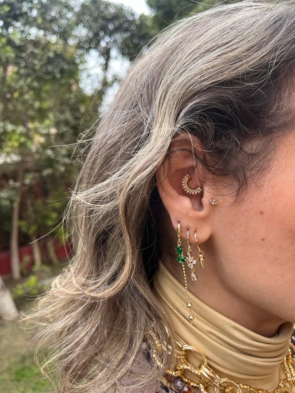 Earrings 