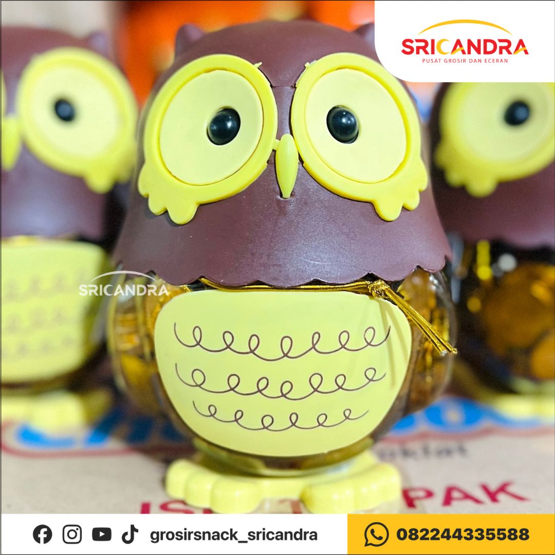 Naraya Choc Coin 240gr Owl