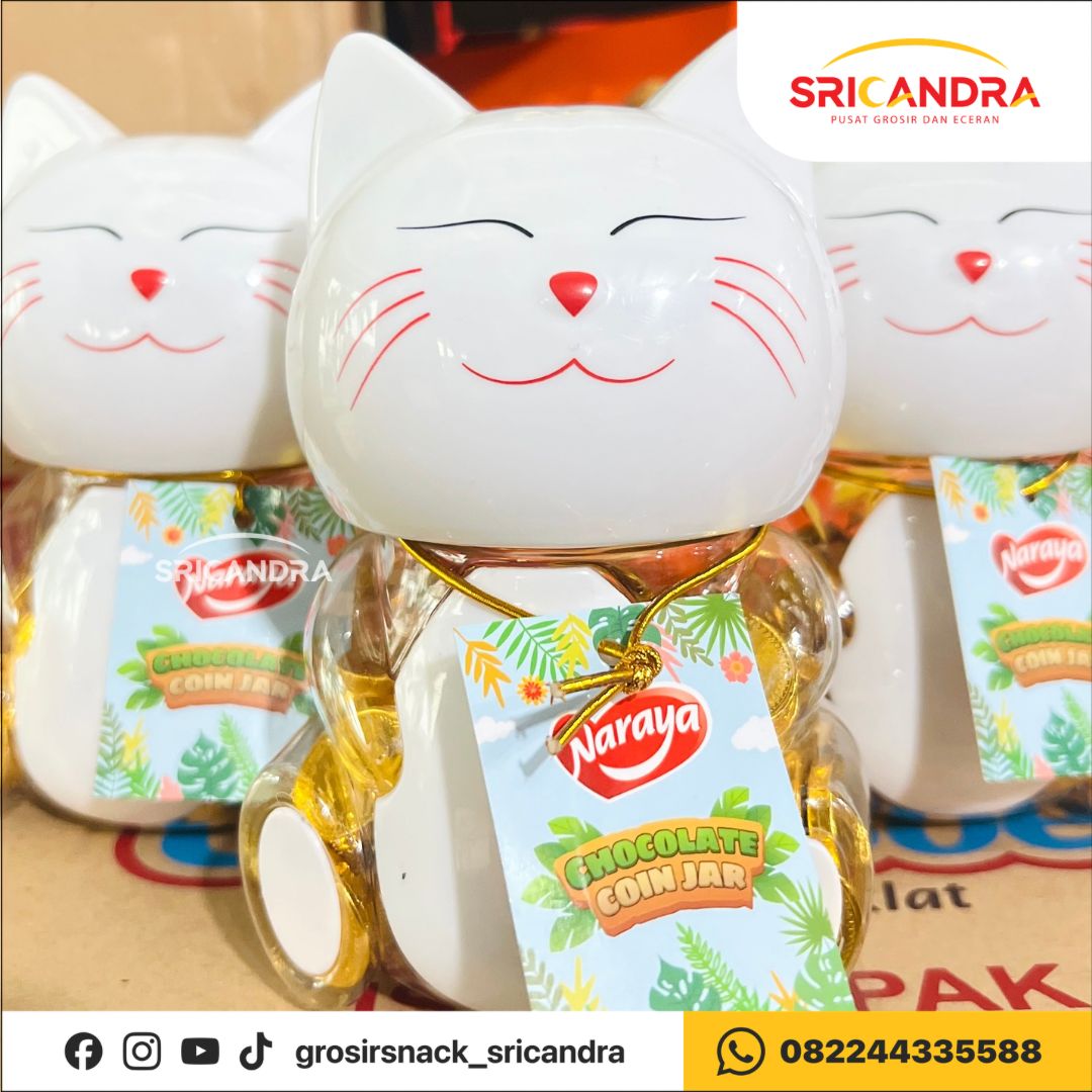 Naraya Choc Coin 240gr Cat