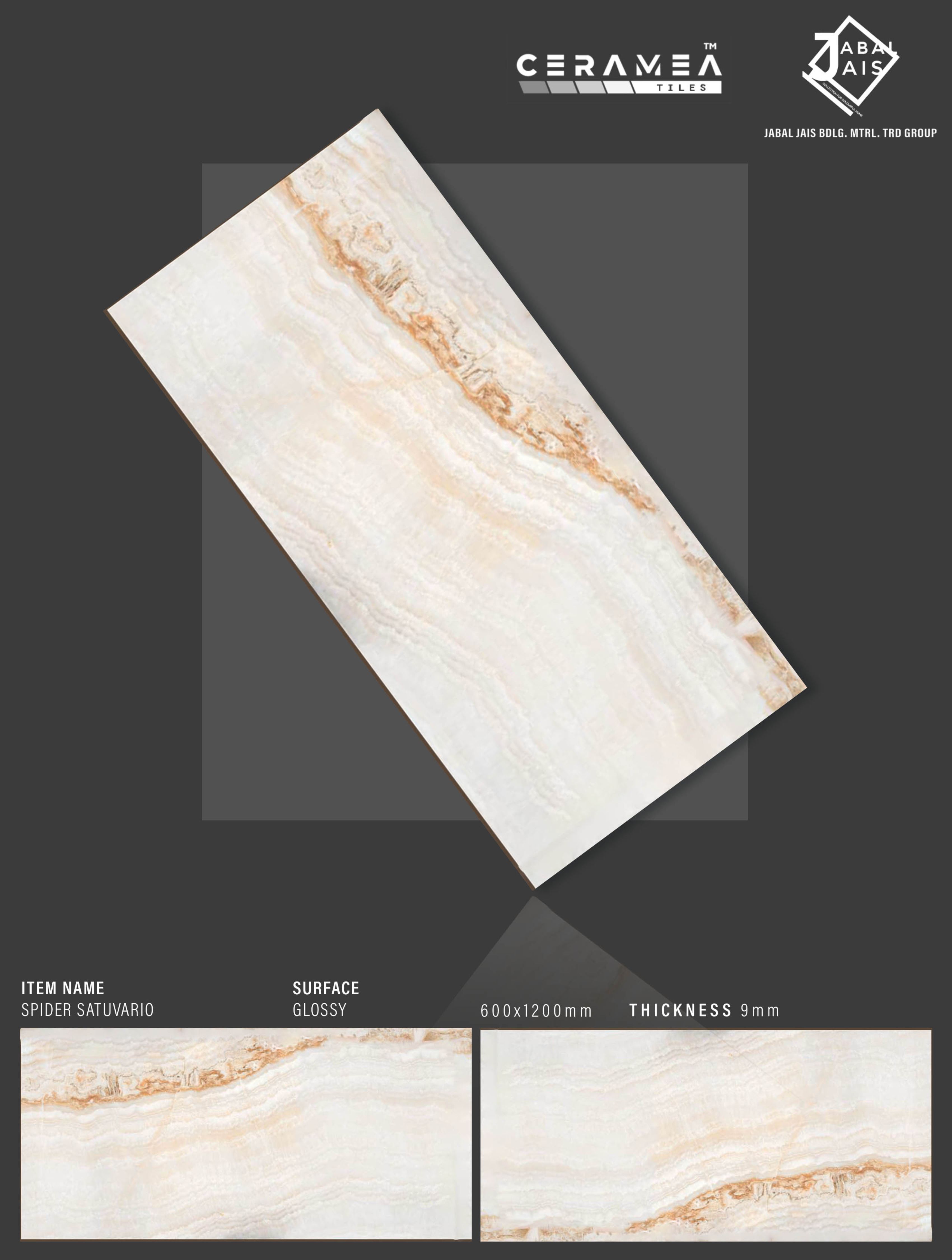 Large Format Ceramea Tiles