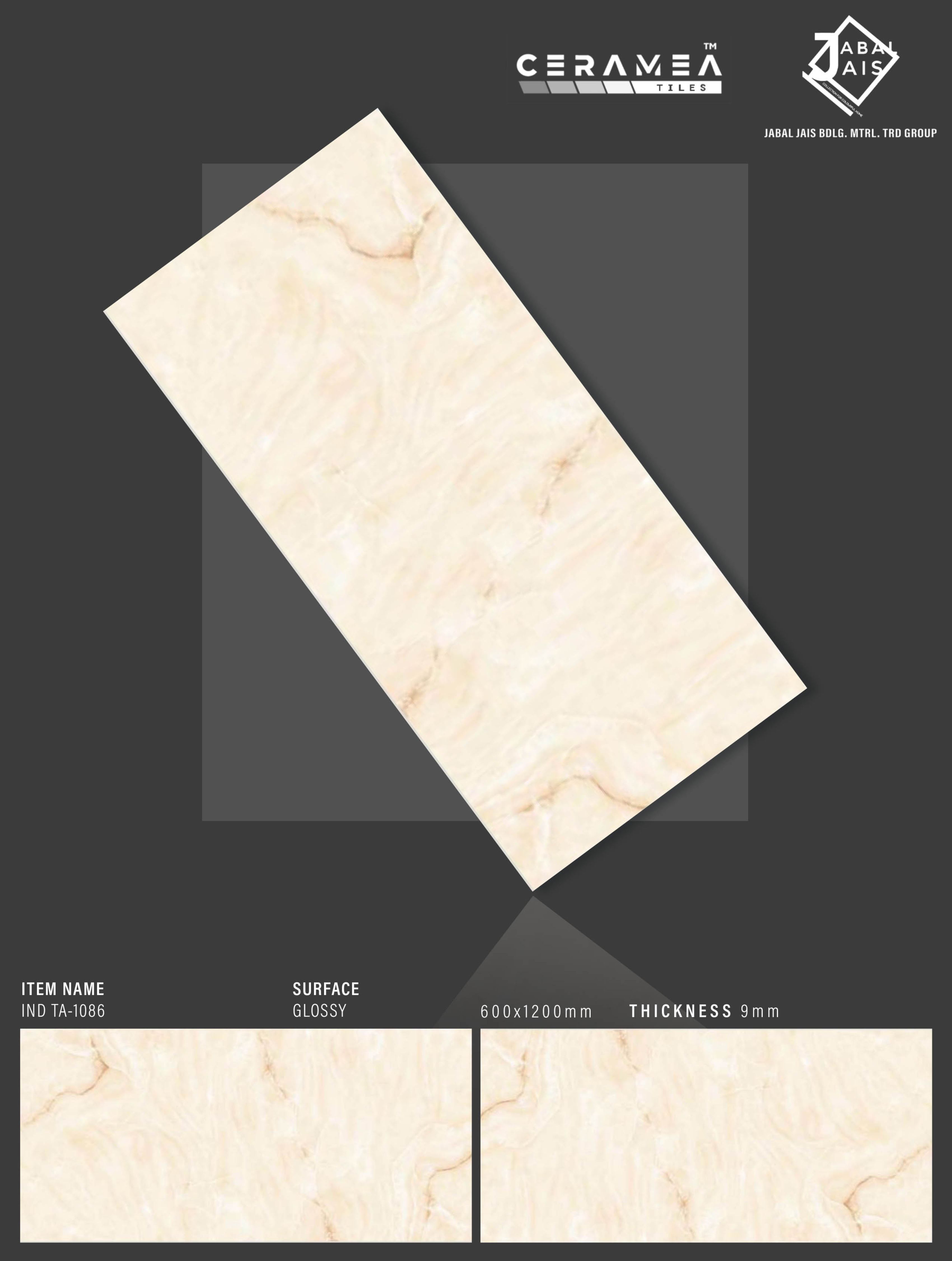 Large Format Ceramea Tiles