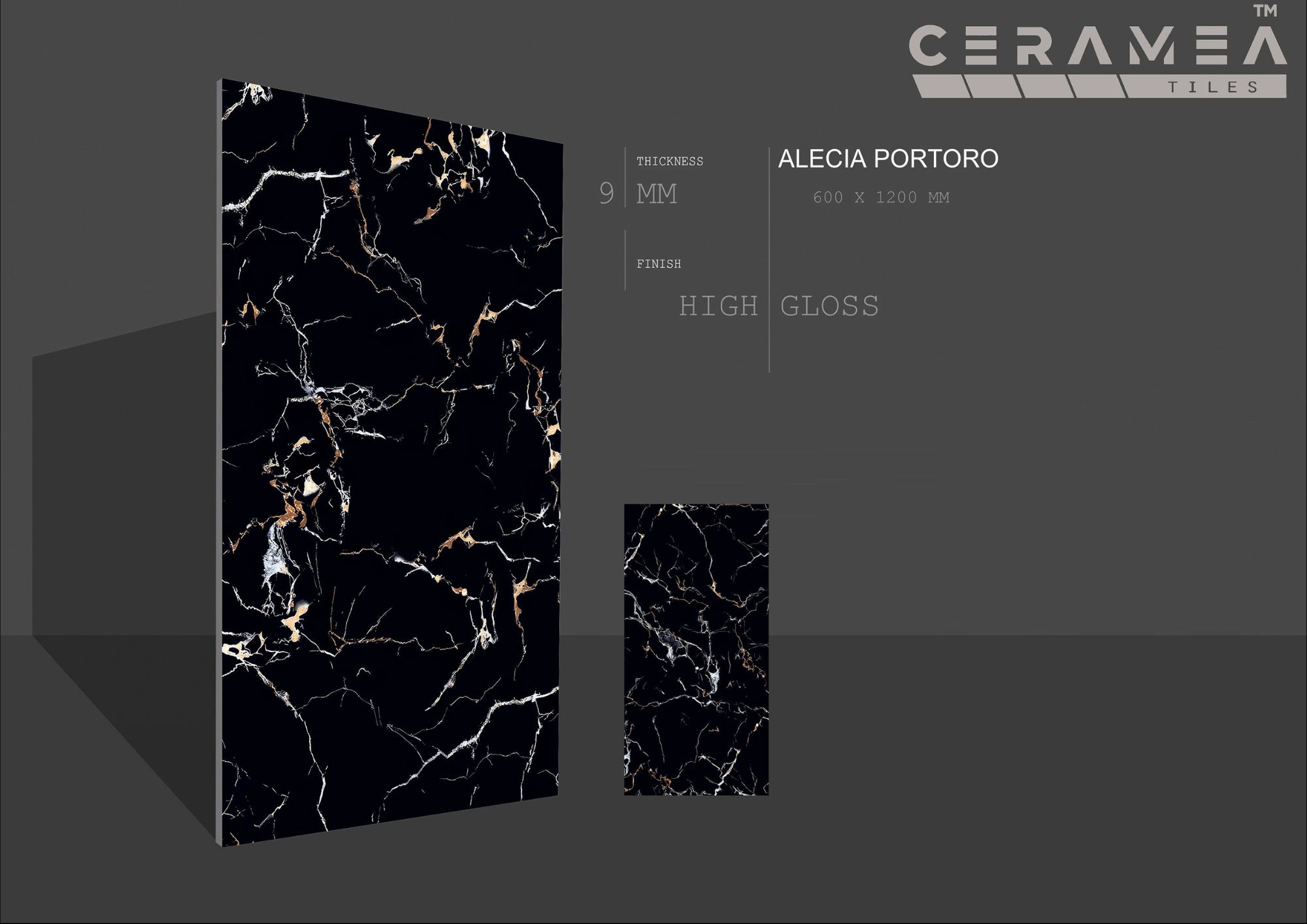 High glossy 60x120