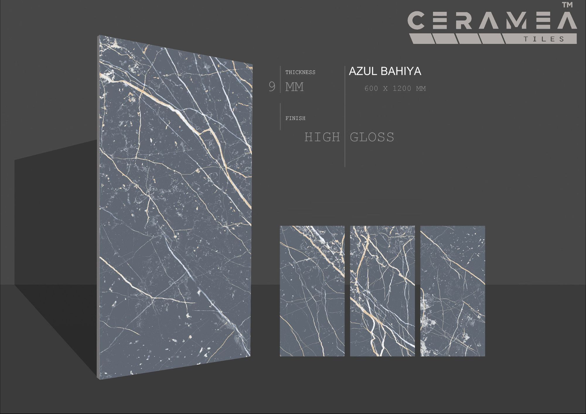 High glossy 60x120