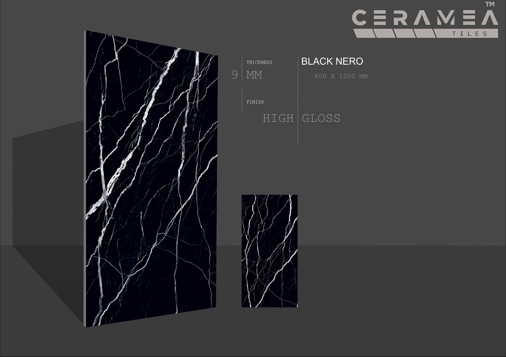 High glossy 60x120