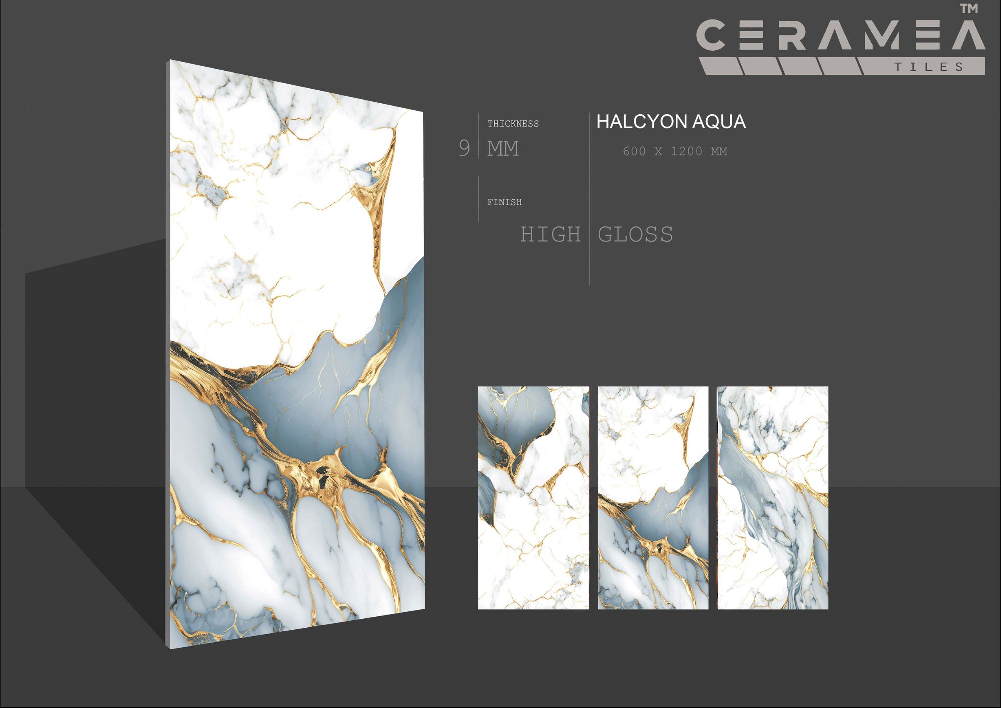 High glossy 60x120