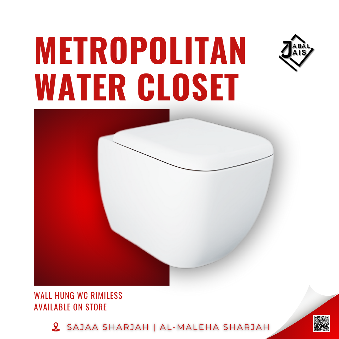 RAK-METROPOLITAN Alpine White Ivory Wall Hung Water Closets