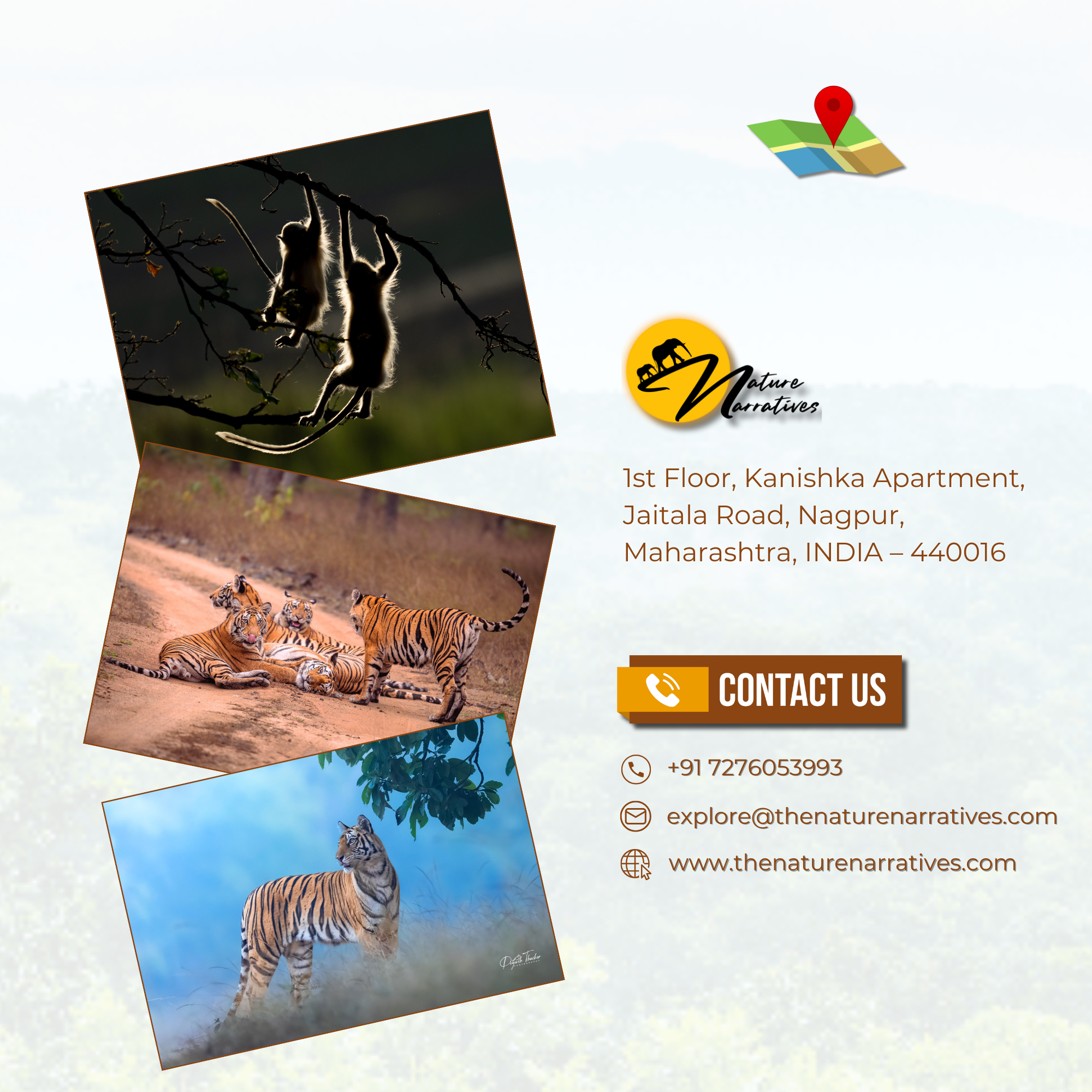 Wildlife Safari Packing Checklist 
