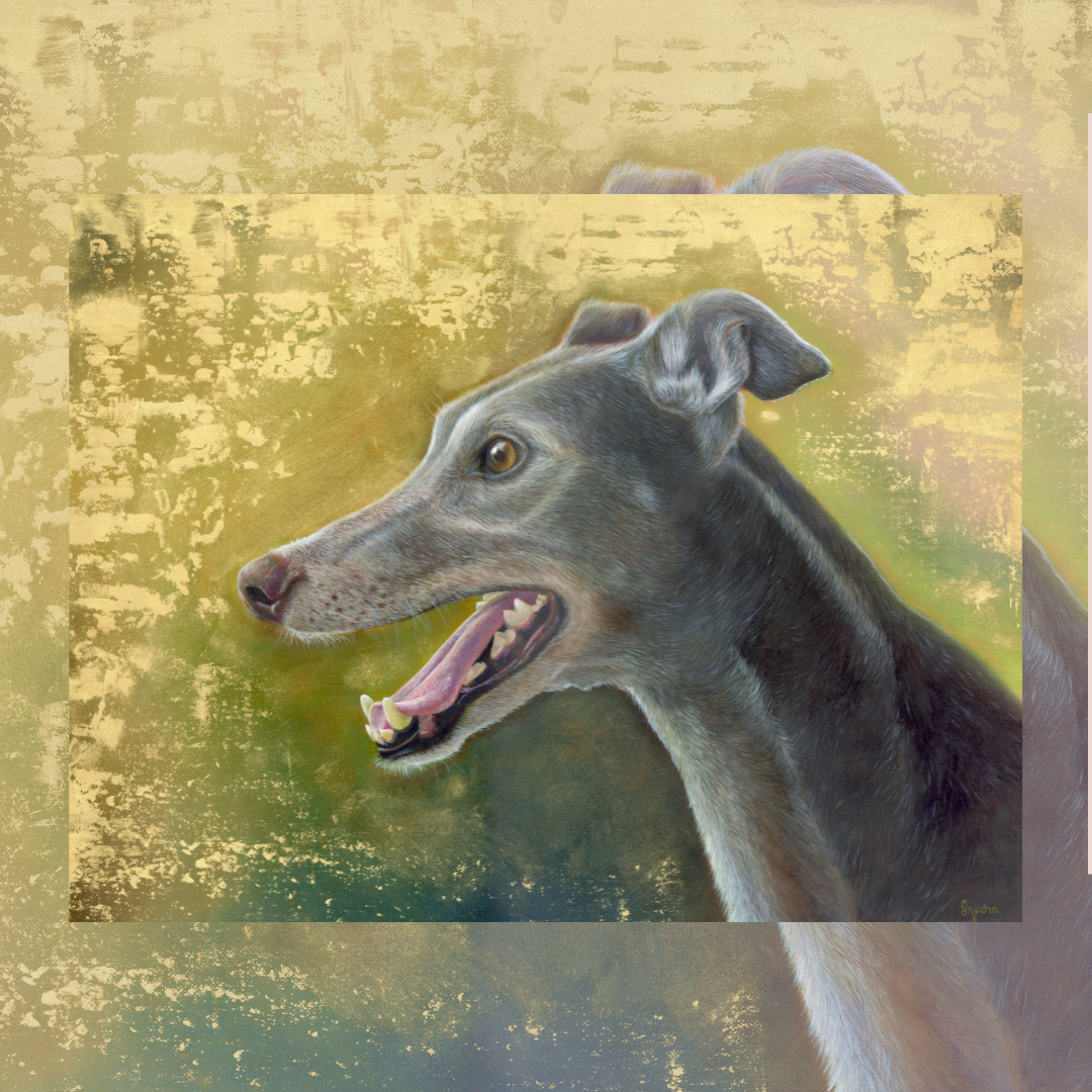 Greyhound portrait - The Golden