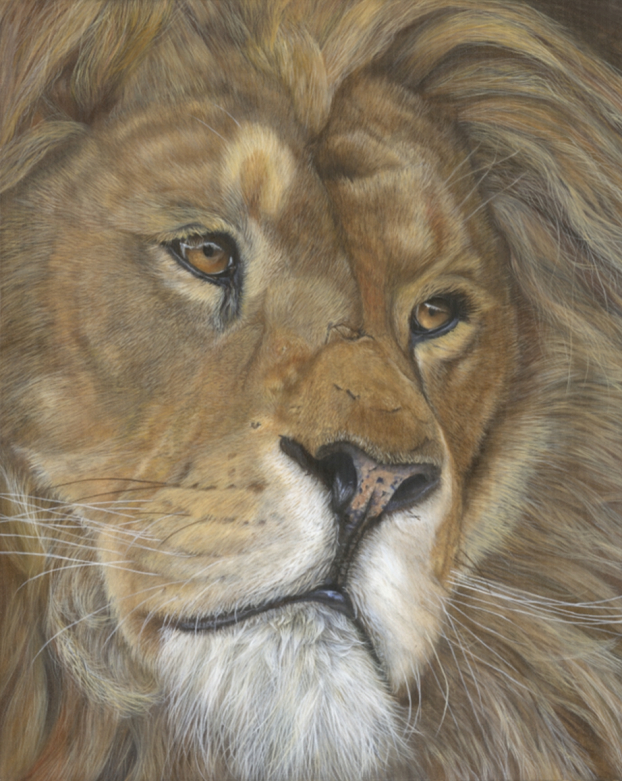 Lion Portrait Painting - King of the pride
