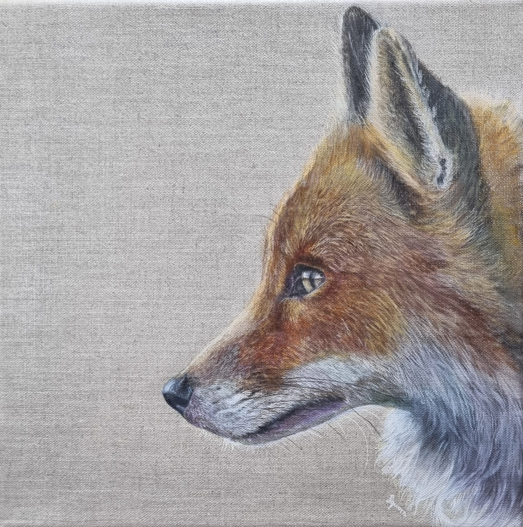 Fox Print - Watcher!