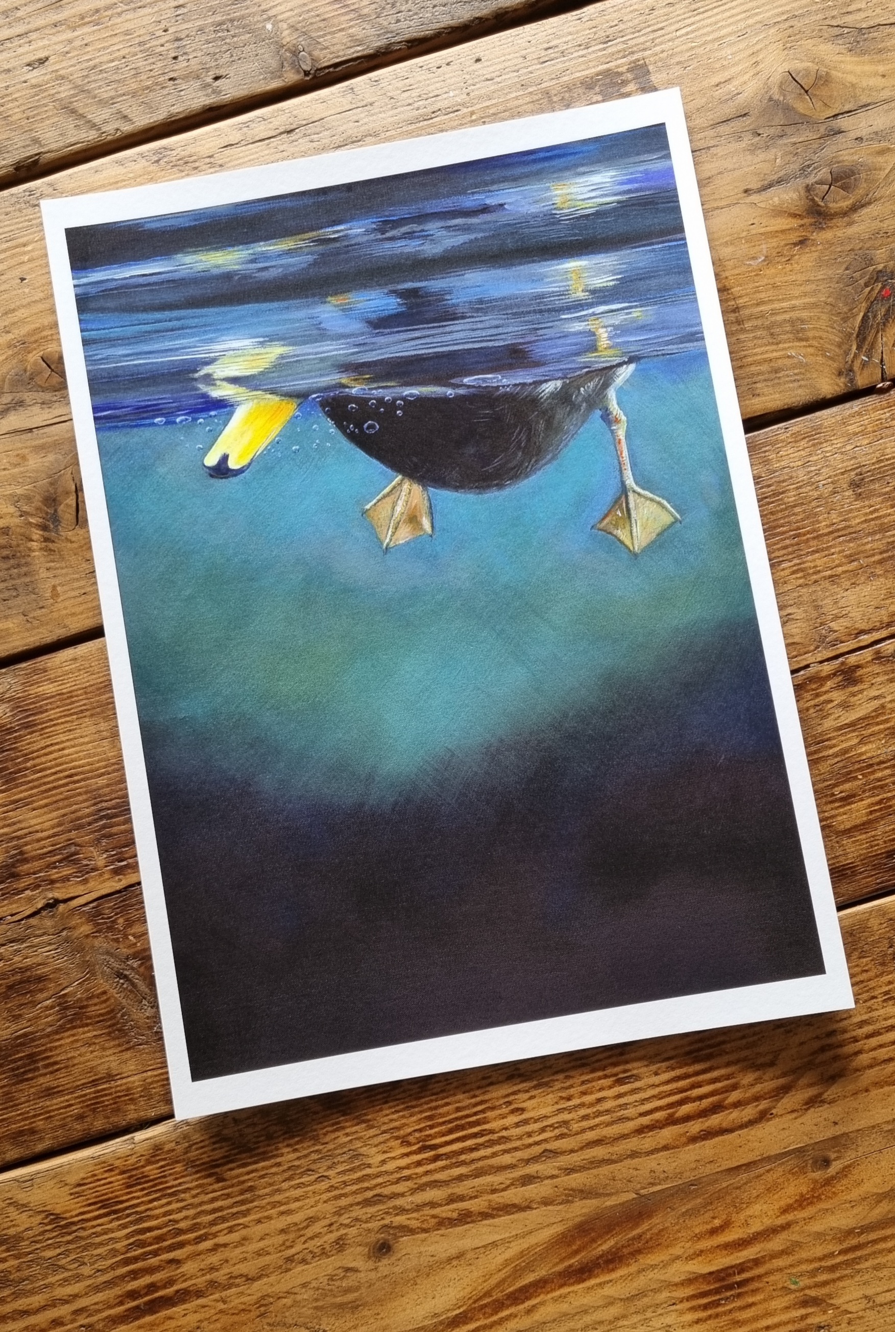 Paddling Duck print