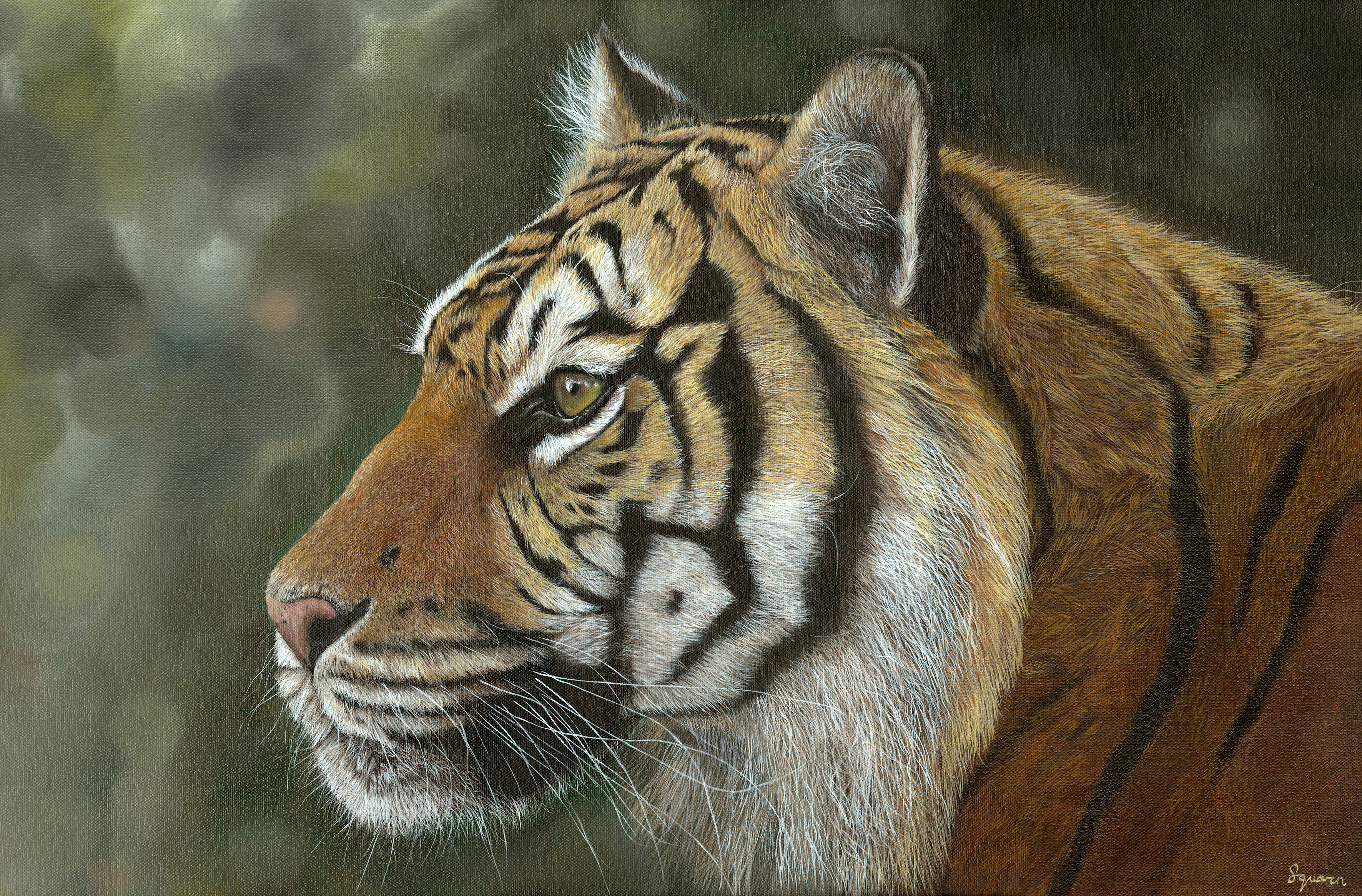 Tiger Portrait Print - Calissa