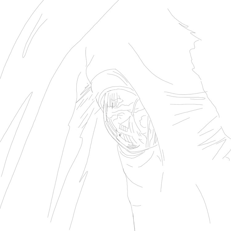 Horse eye study- line drawing 