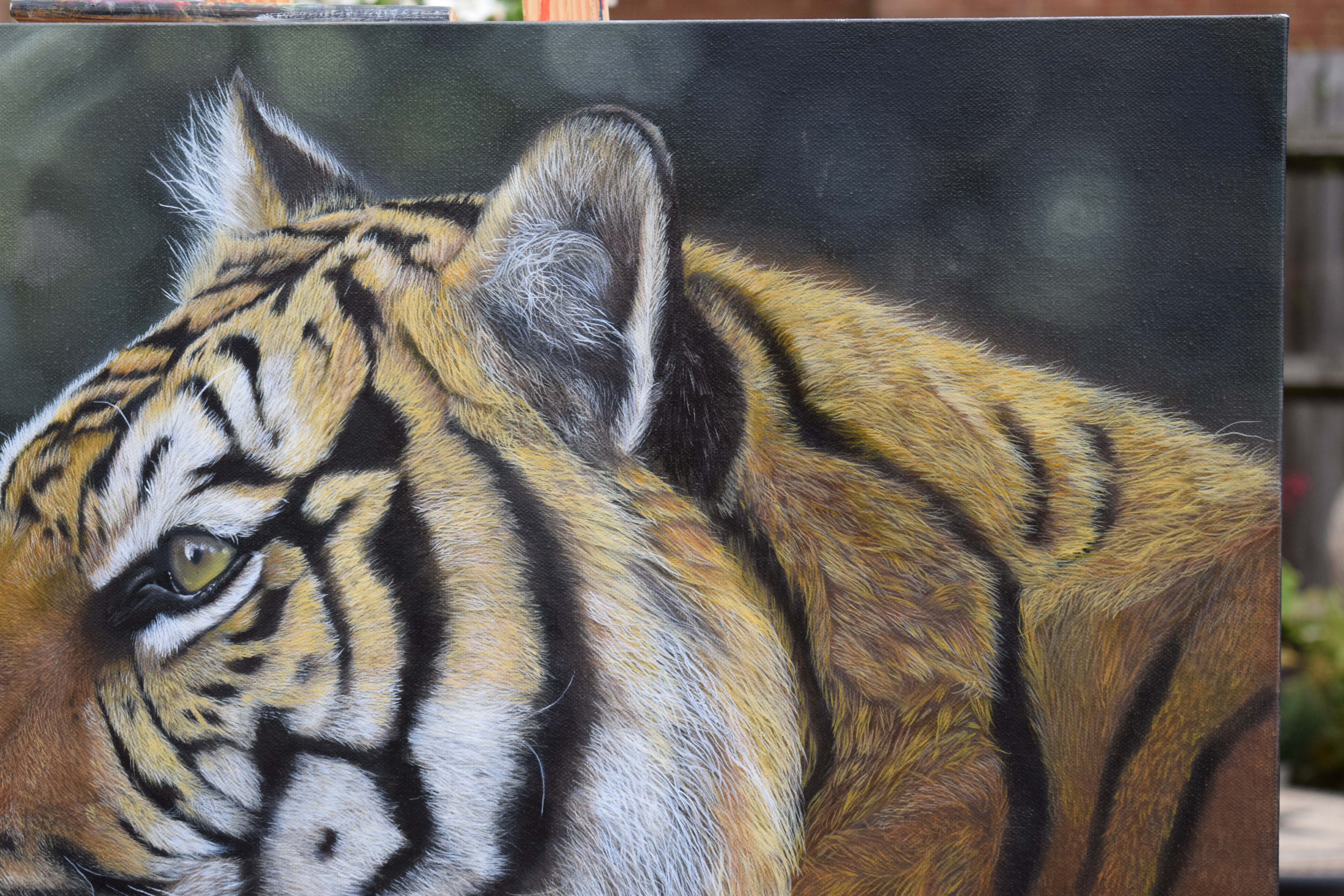 Tiger Portrait Painting  - Calissa