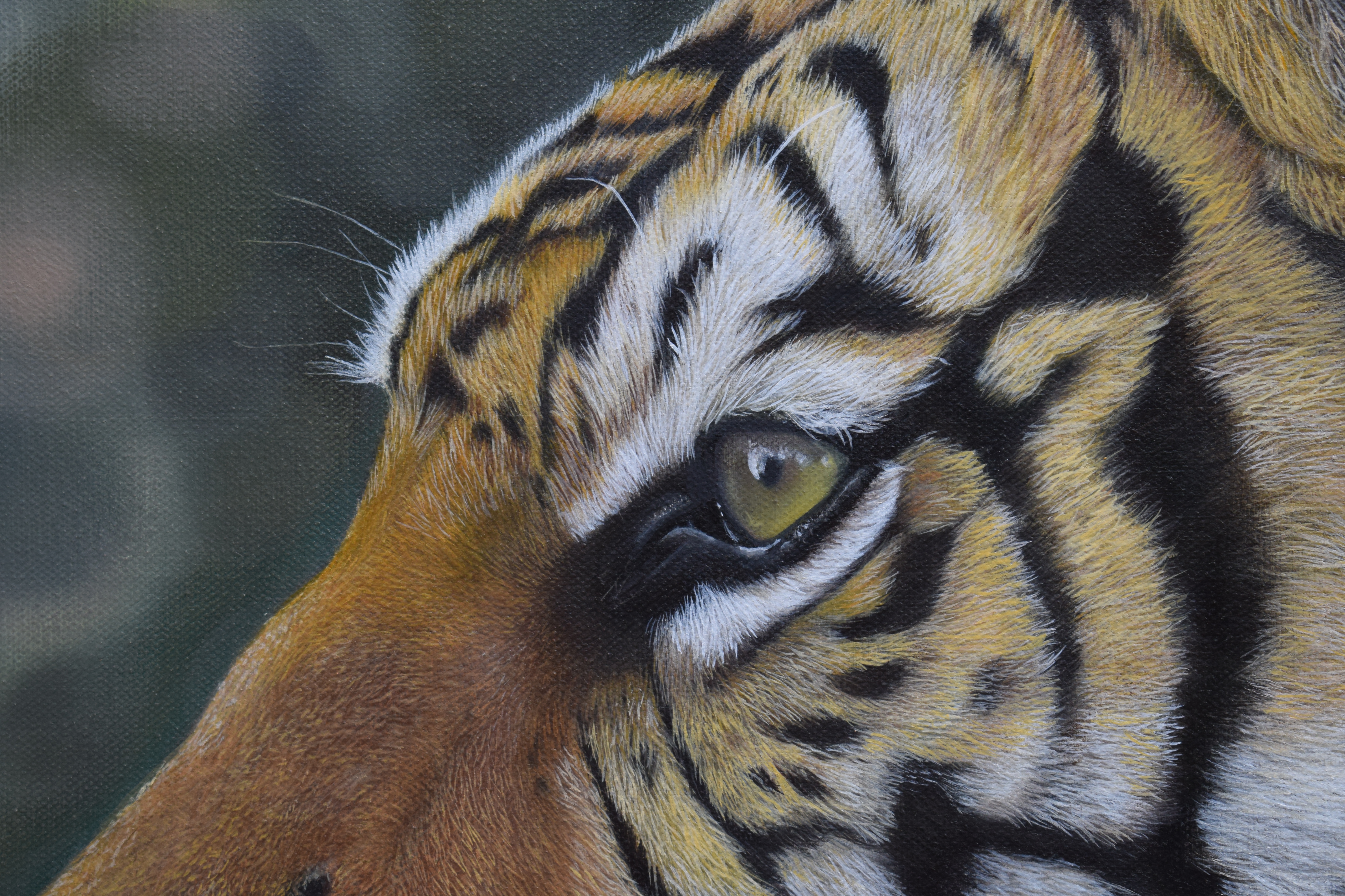 Tiger Portrait Painting  - Calissa