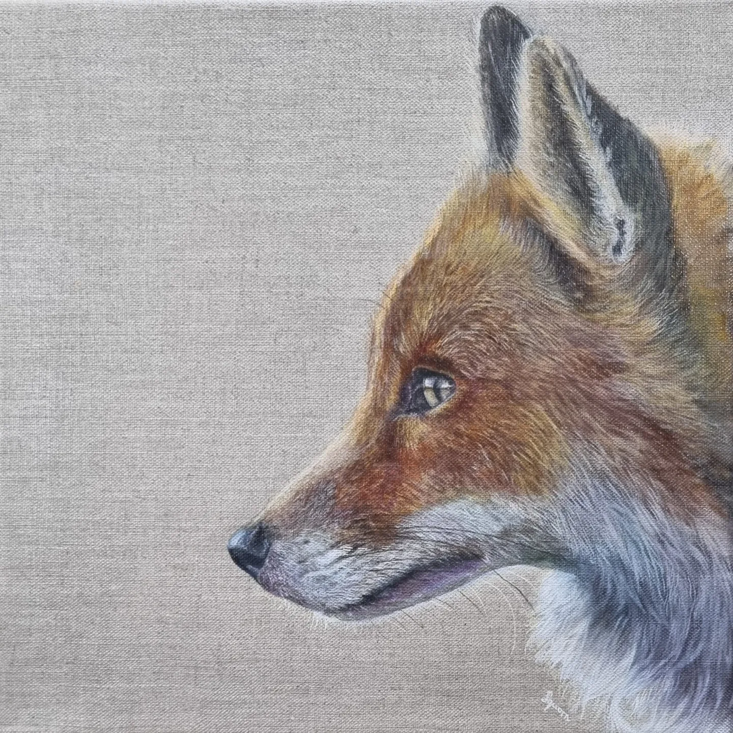 Fox Print - Watcher!