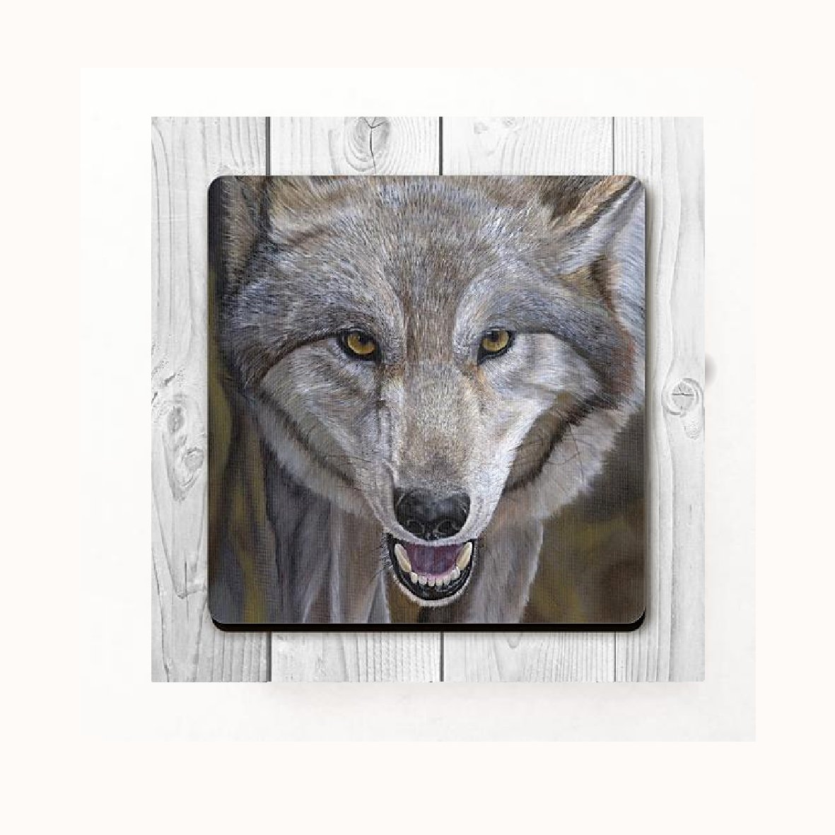 Wildlife Fridge magnets