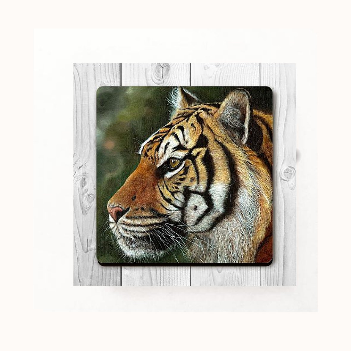 Wildlife Fridge magnets