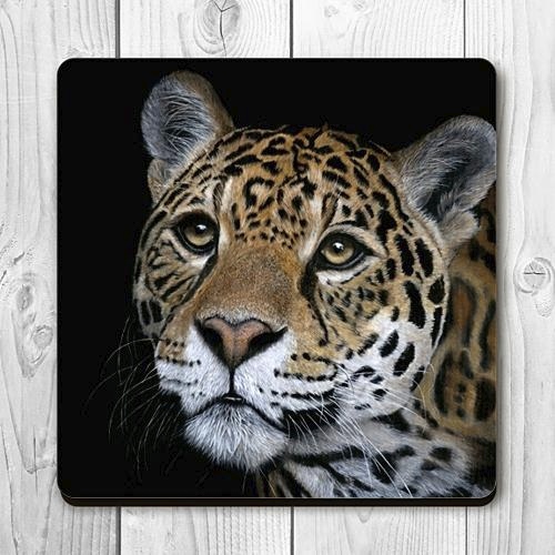 Wildlife Fridge magnets