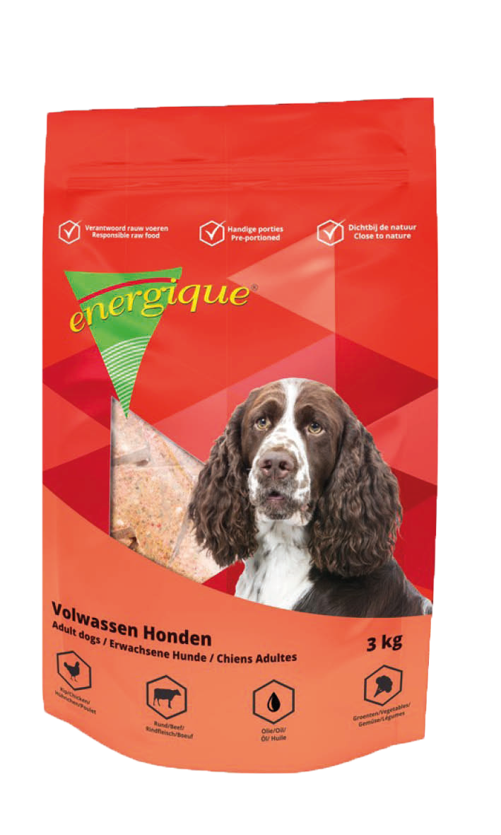 Energique Volwassen Hond