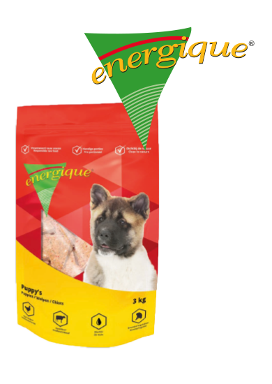 Energique Puppy's