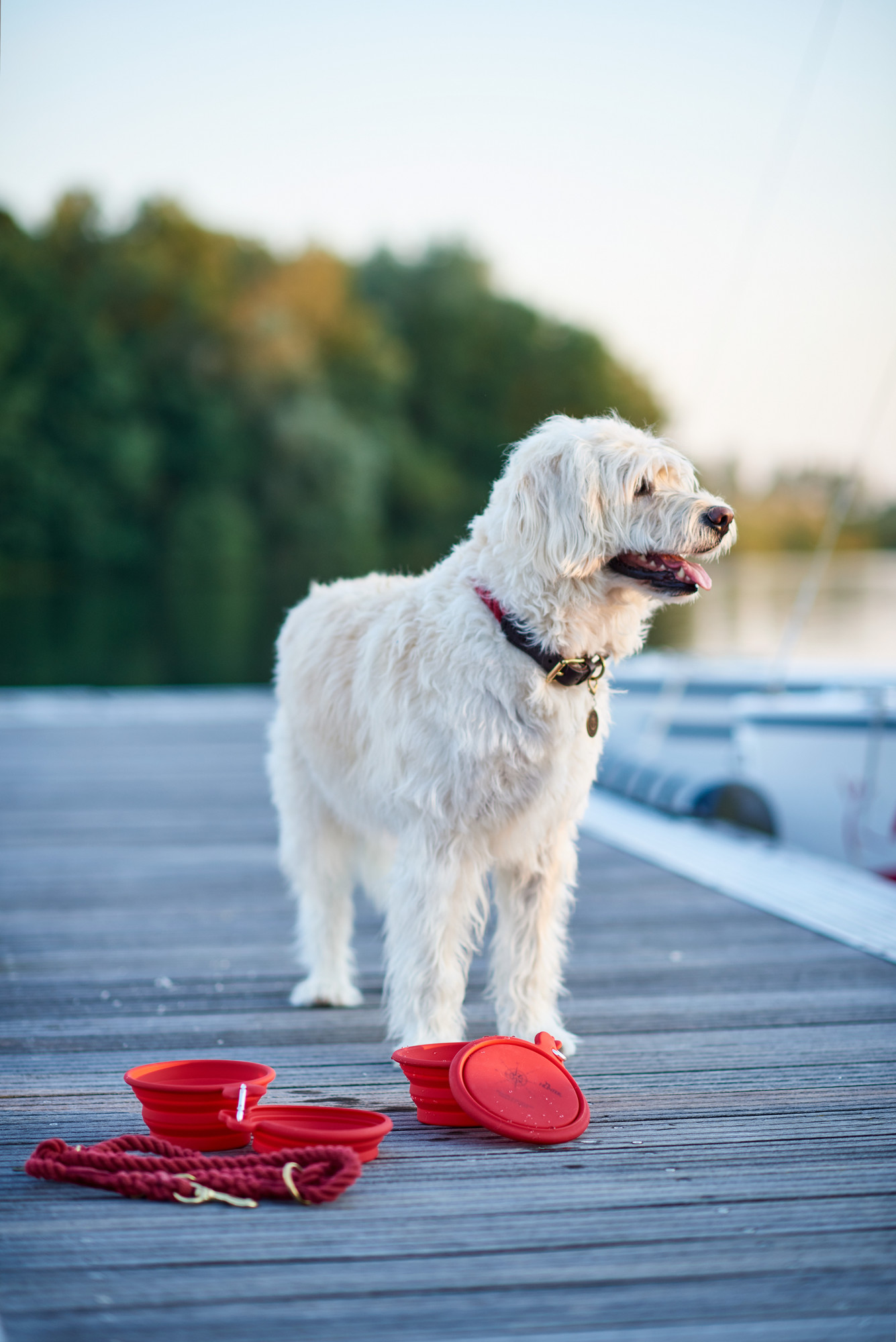 Hunter Silicone Opvouwbare Honden Drink- en Voerbak