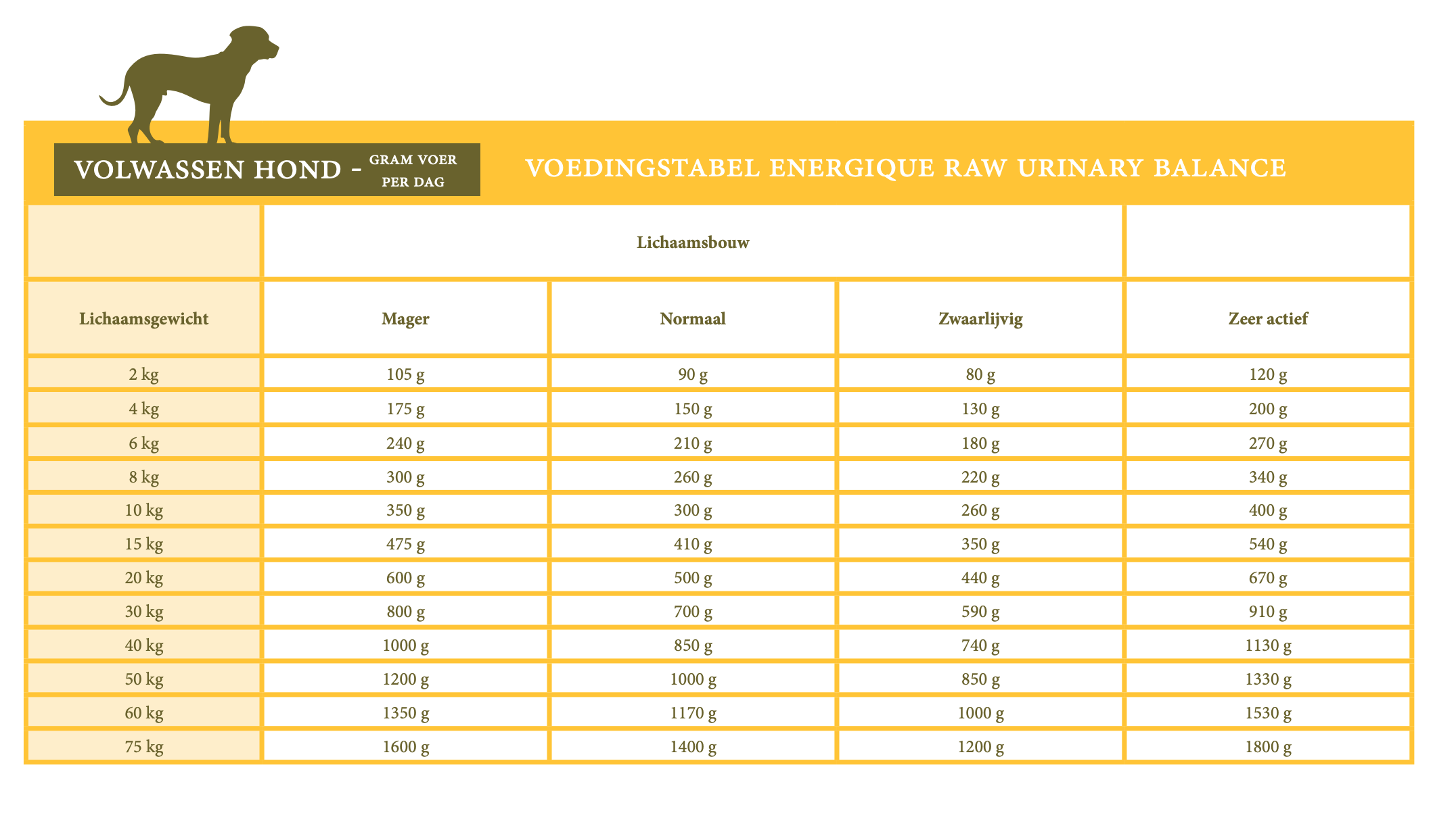 Energique RAW Veterinary Diets- Urinary balance