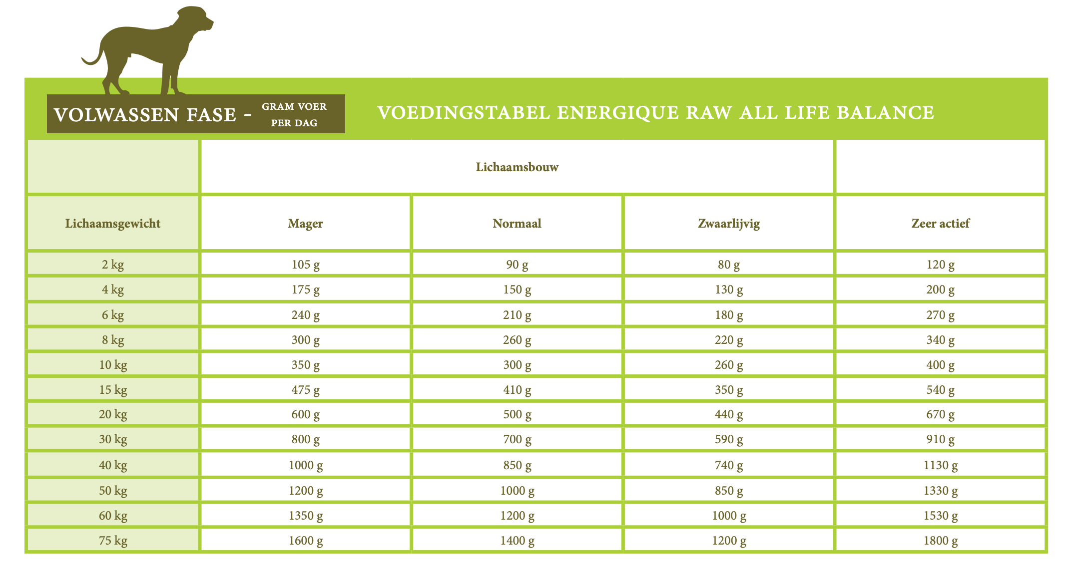 Energique RAW Veterinary Diets- All life balance