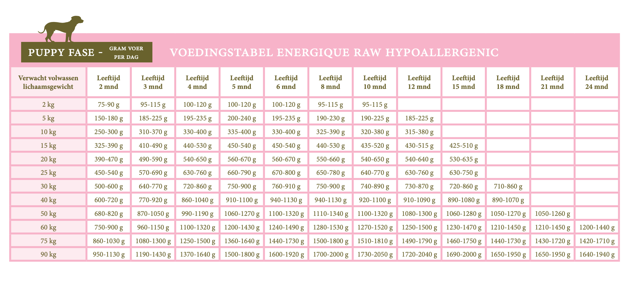 Energique RAW Veterinary Diets- Hypoallergenic