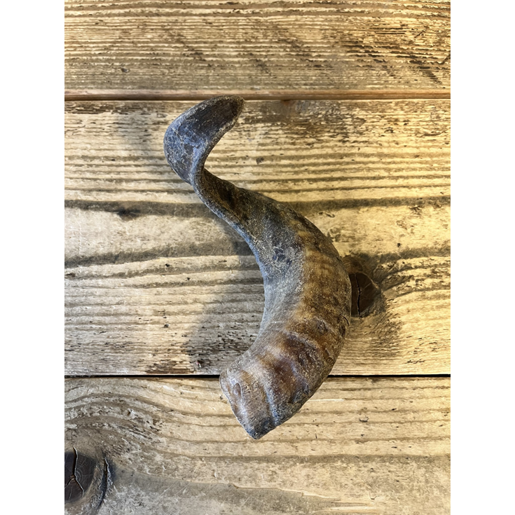 Carnilicious Lamshoorn