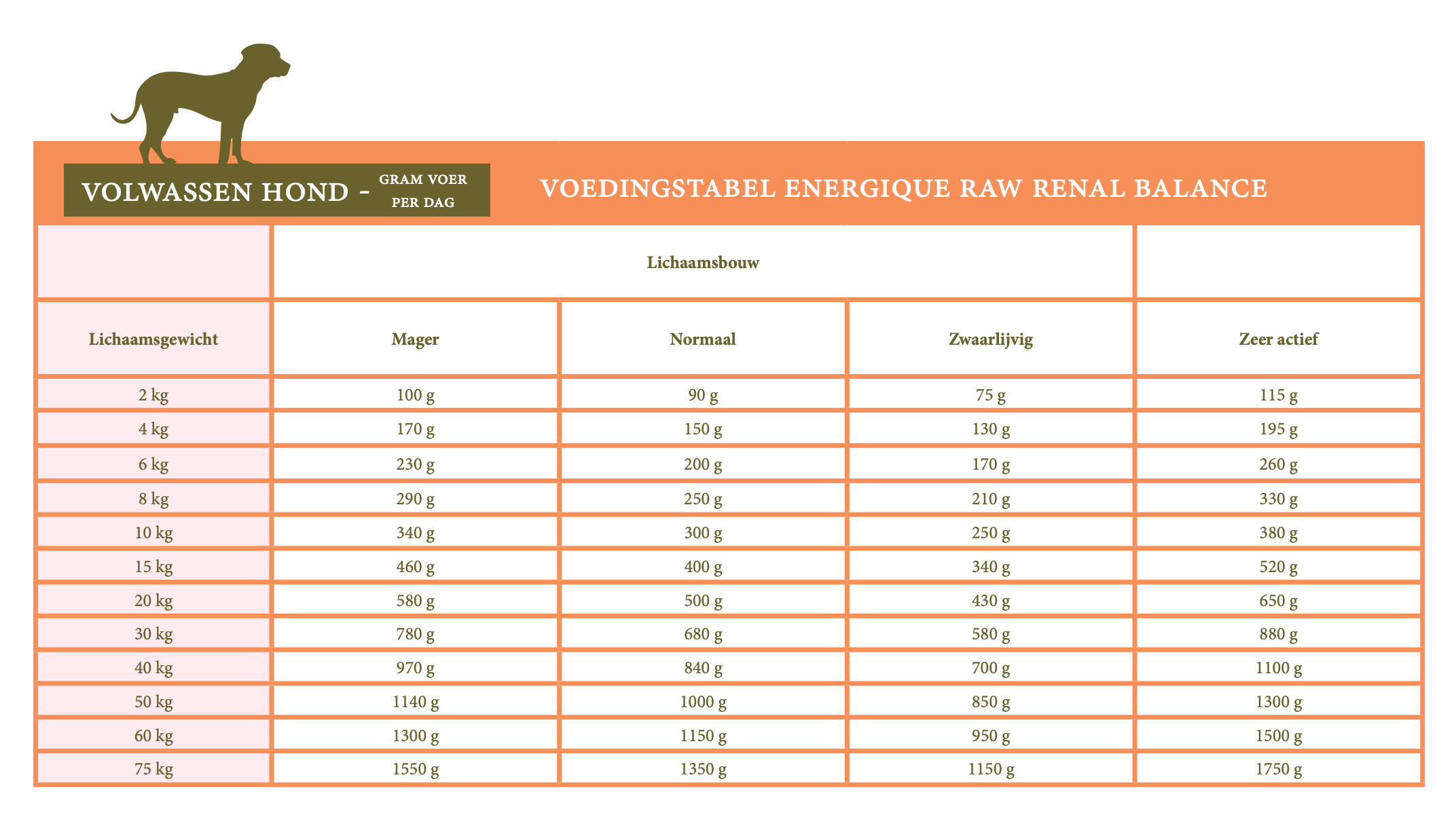 Energique RAW Veterinary Diets- Renal balance