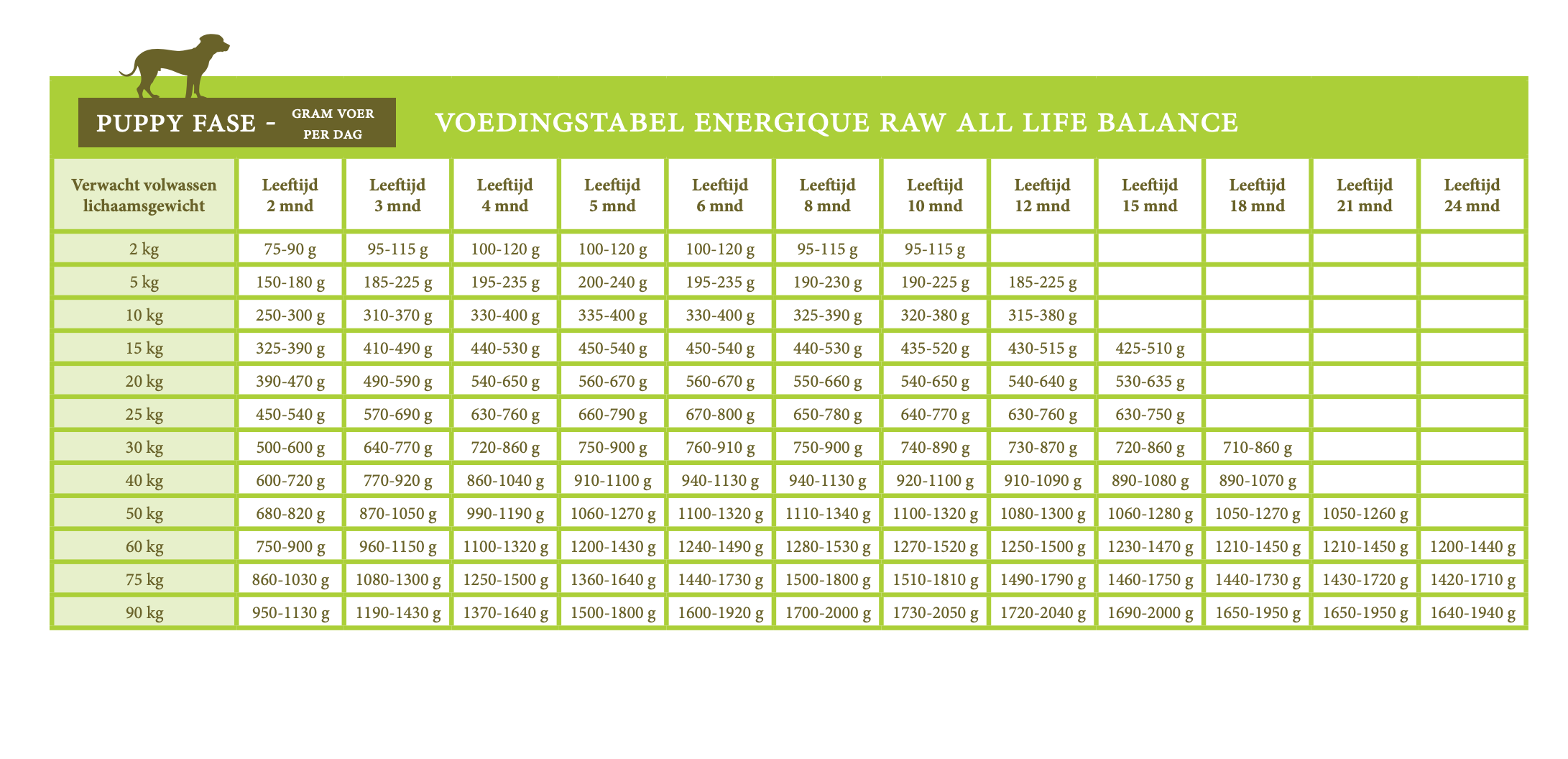 Energique RAW Veterinary Diets- All life balance
