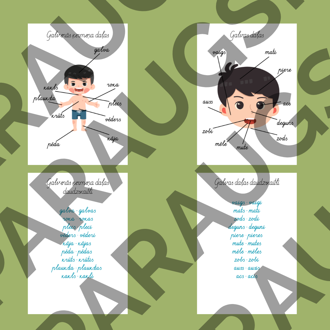 Ķermeņa daļas – Latviešu valodas mācību lapas bērniem