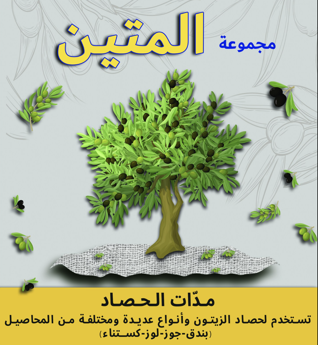 مدات الزيتون