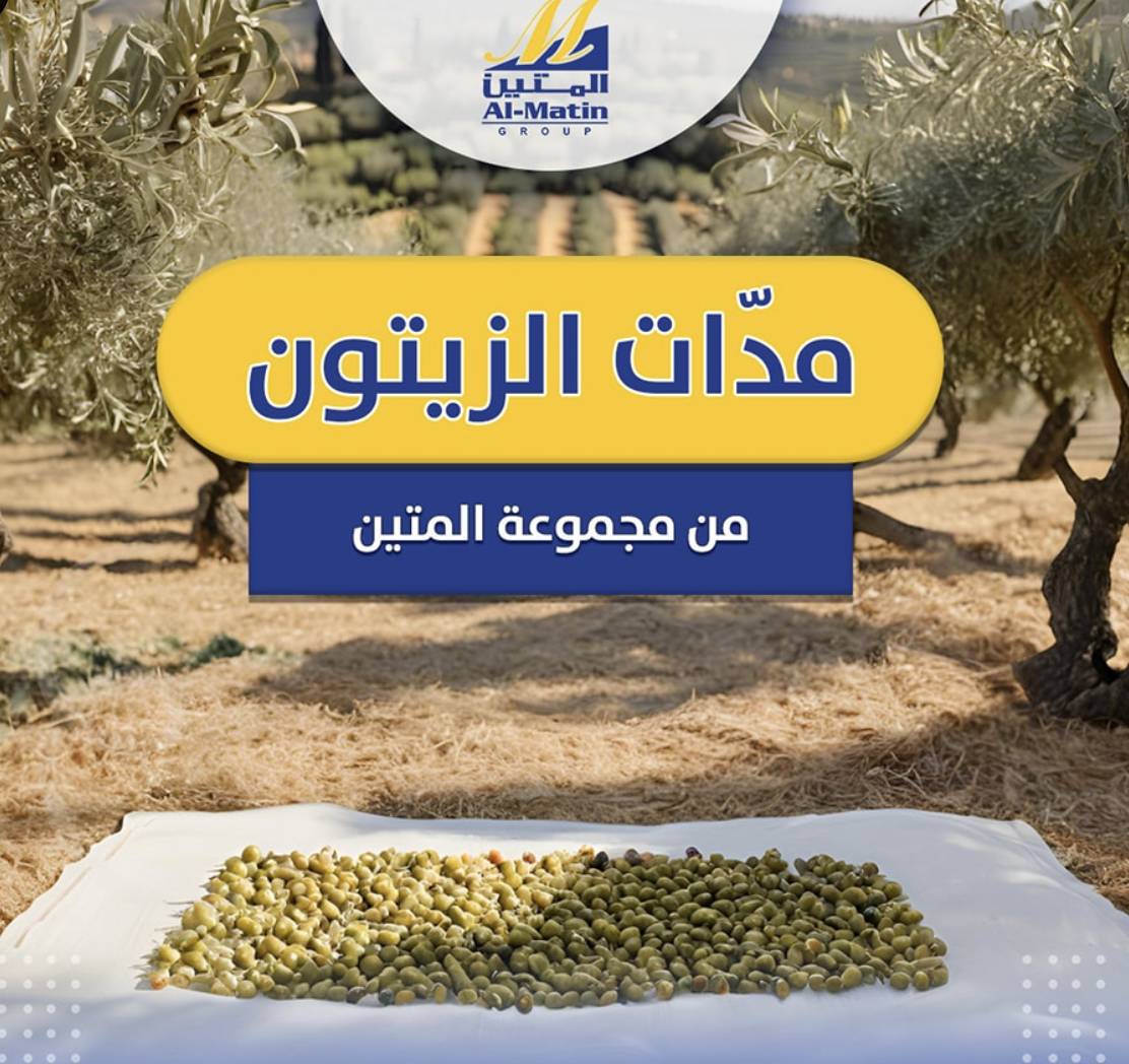 مدات الزيتون