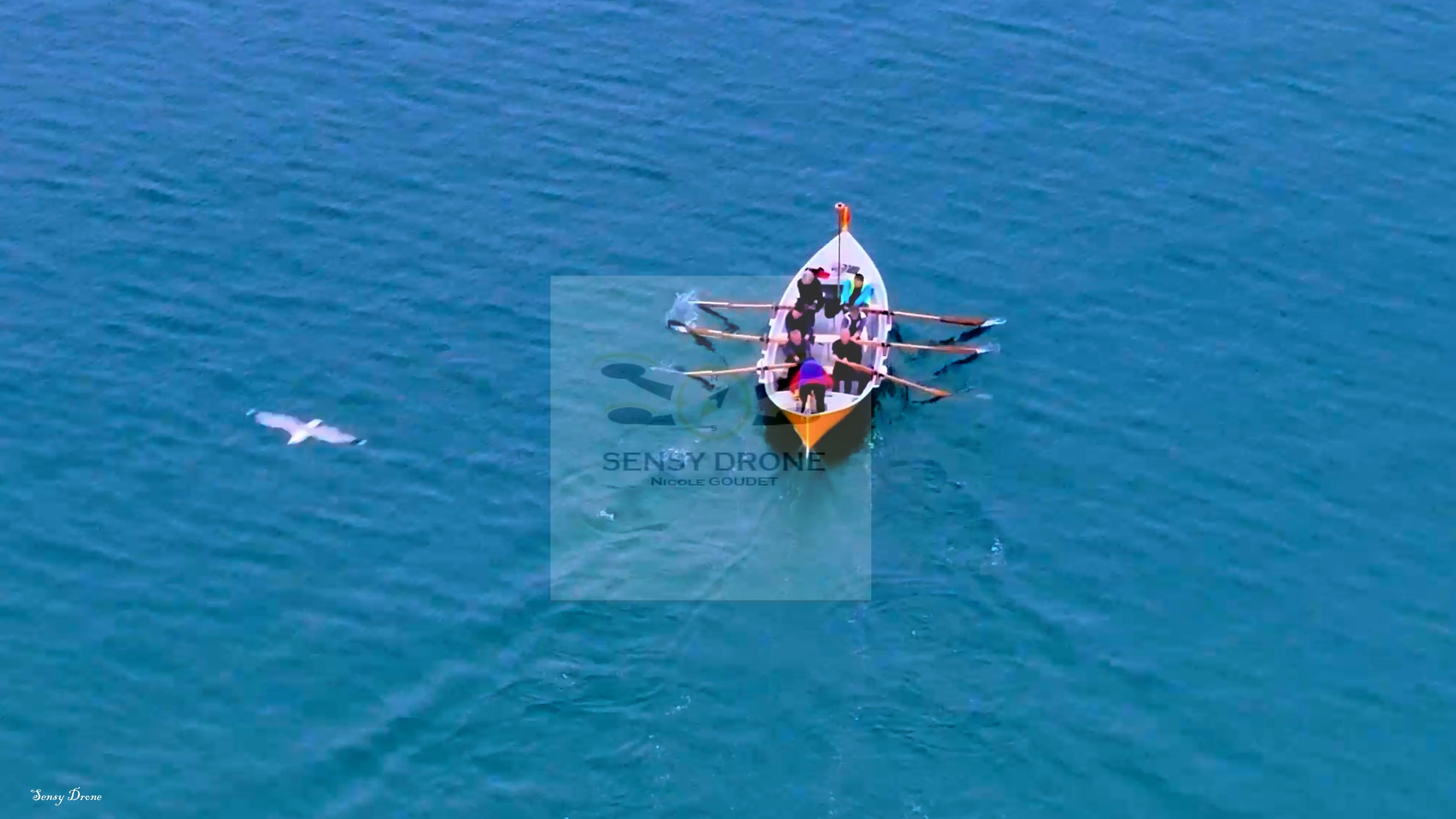Port Argelès - Entre mer, ciel et montagnes