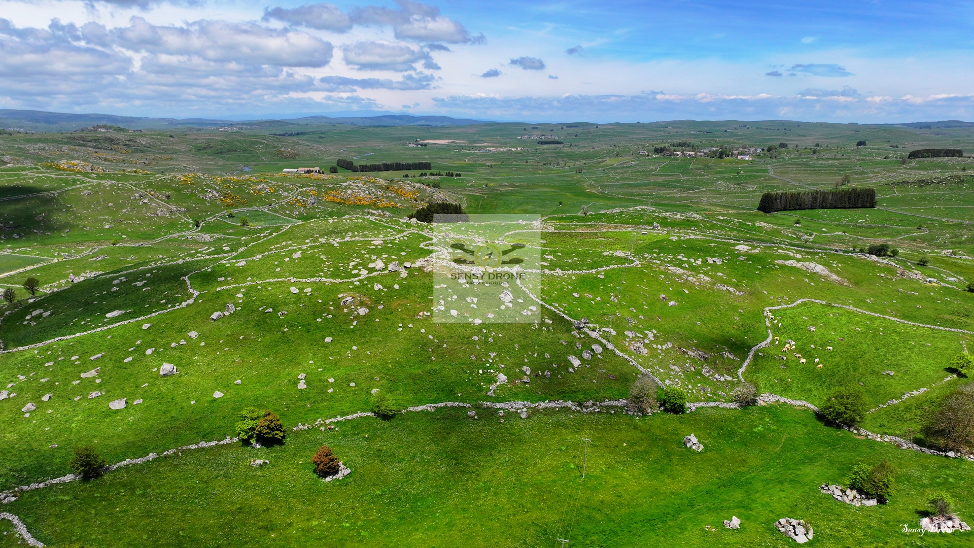 Marchastel – Au cœur de l’Aubrac, terre de silence et de vent