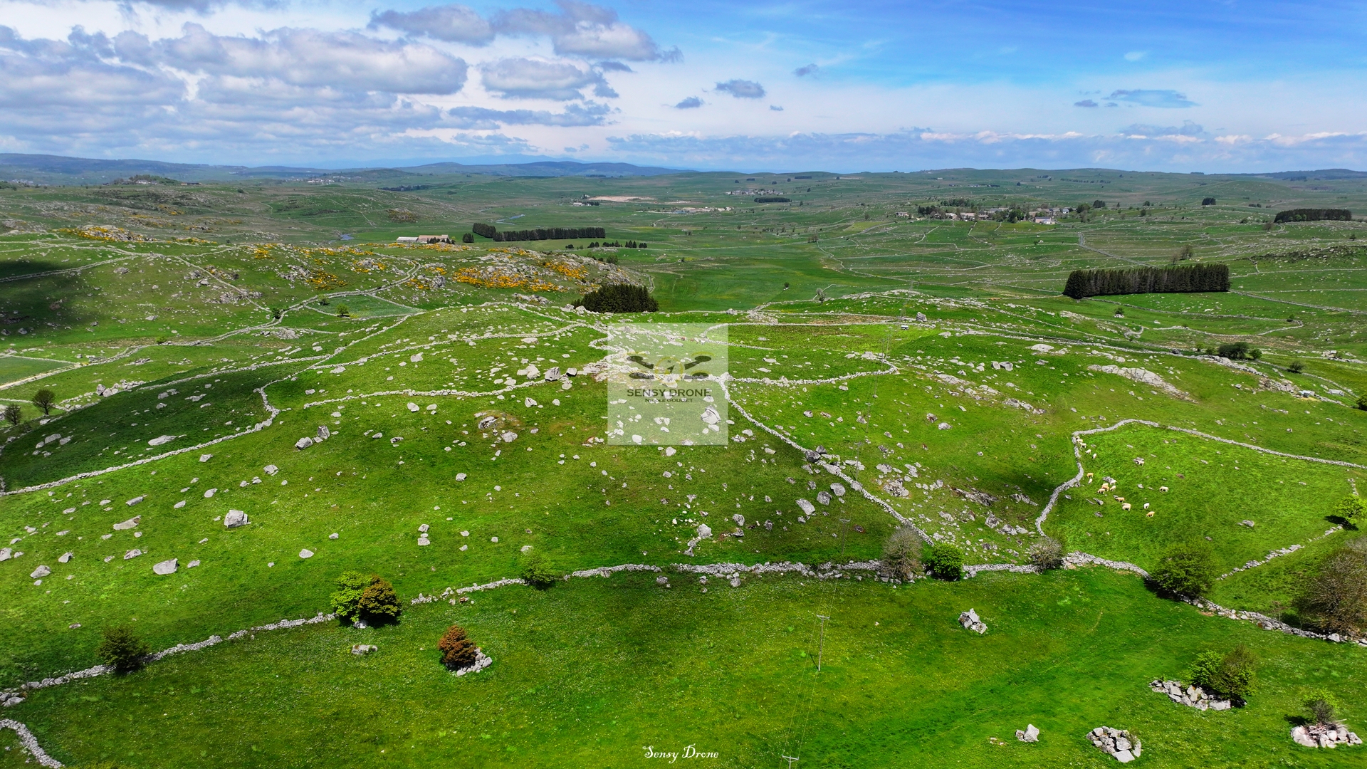 Marchastel – Au cœur de l’Aubrac, terre de silence et de vent
