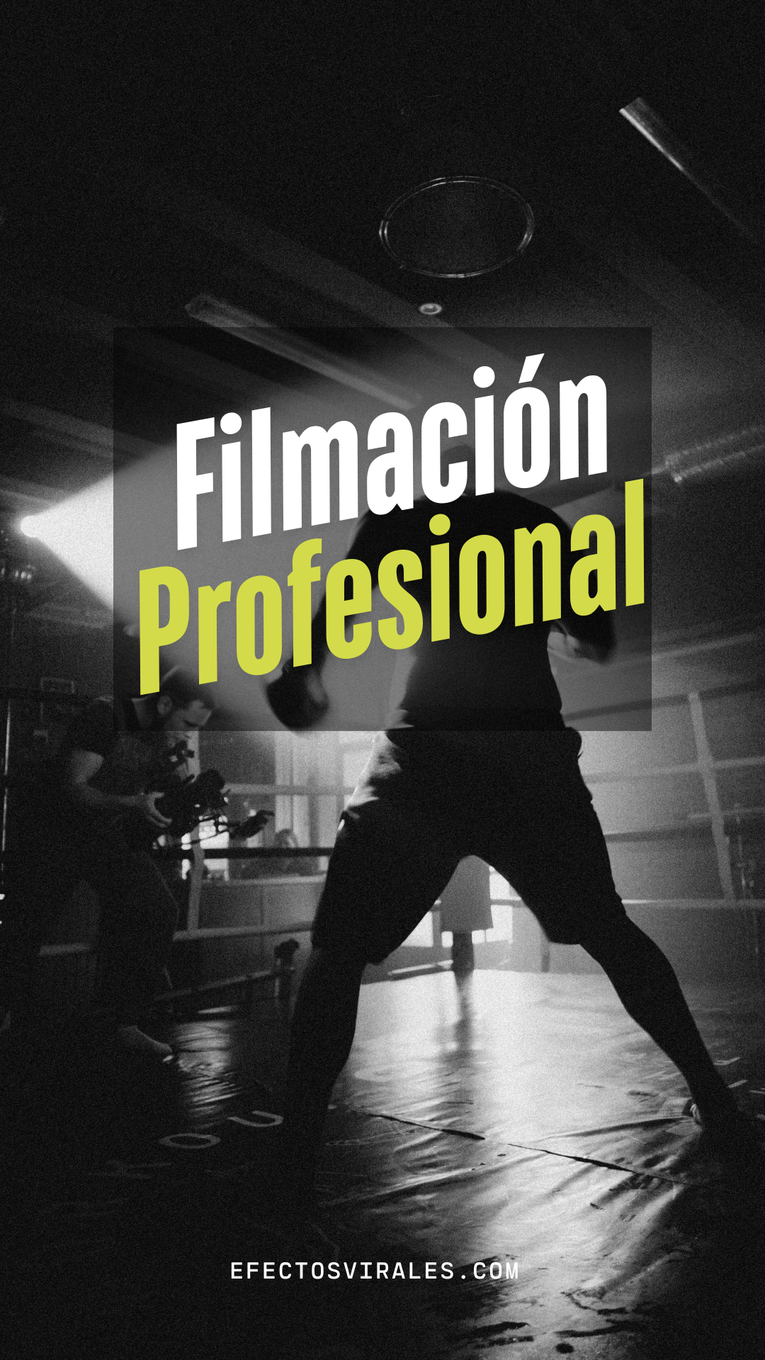 Filmacion Profesional