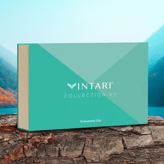 KIT VINTARI  COLLECTION XV
