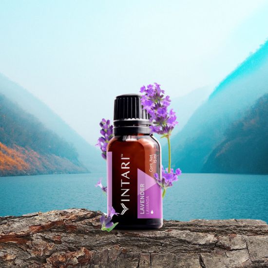 LAVANDA