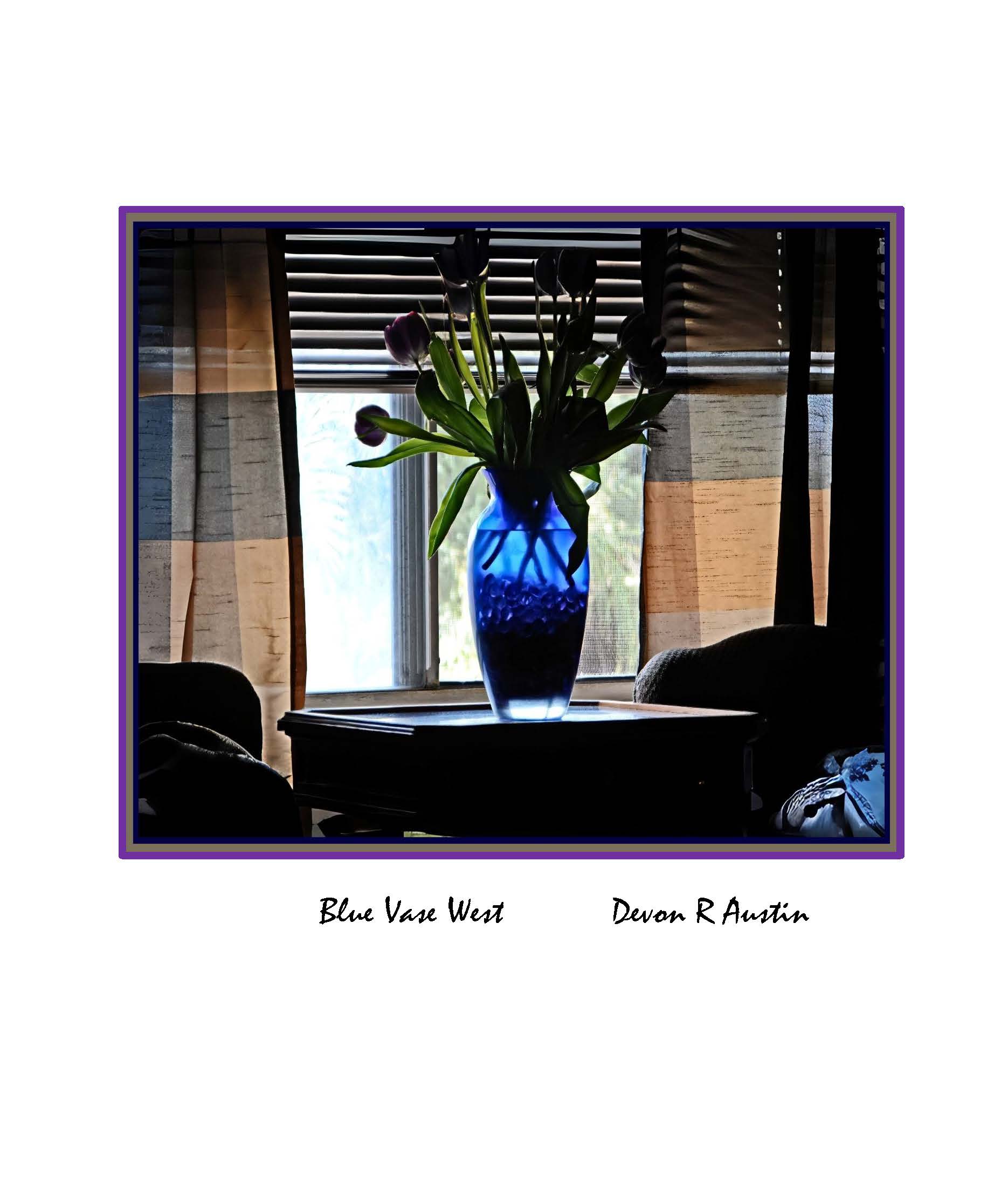 Blue Vase West