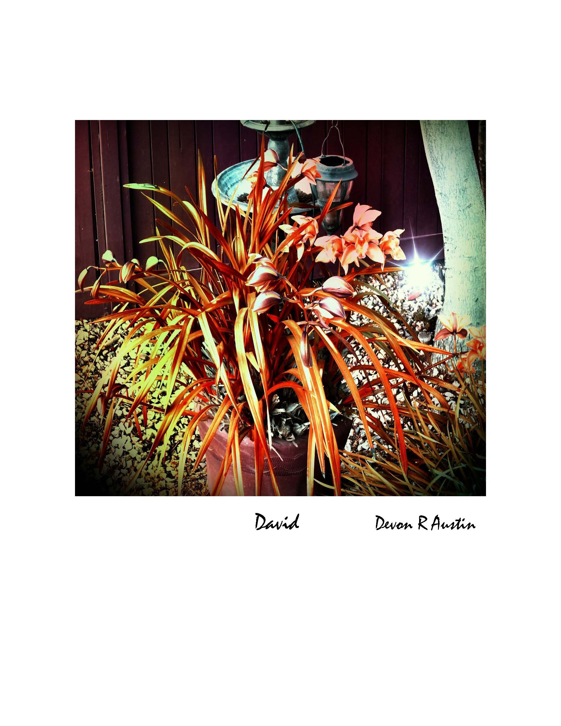 David