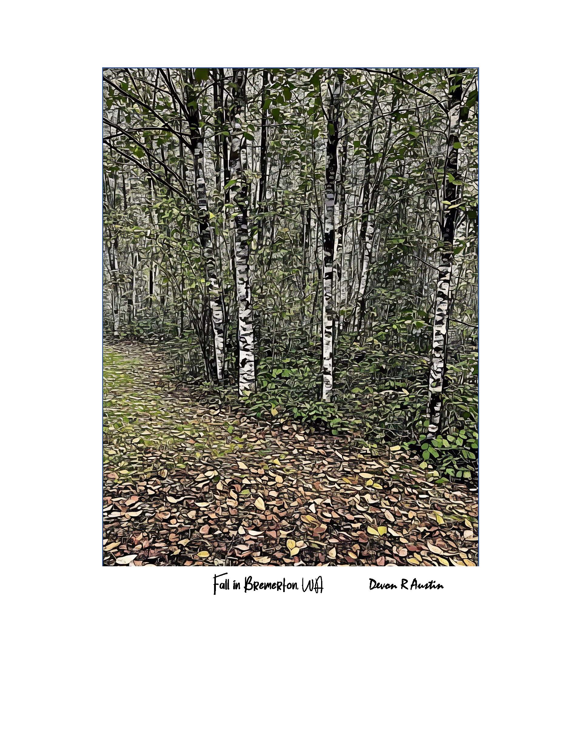 Fall in BremertonWashinton