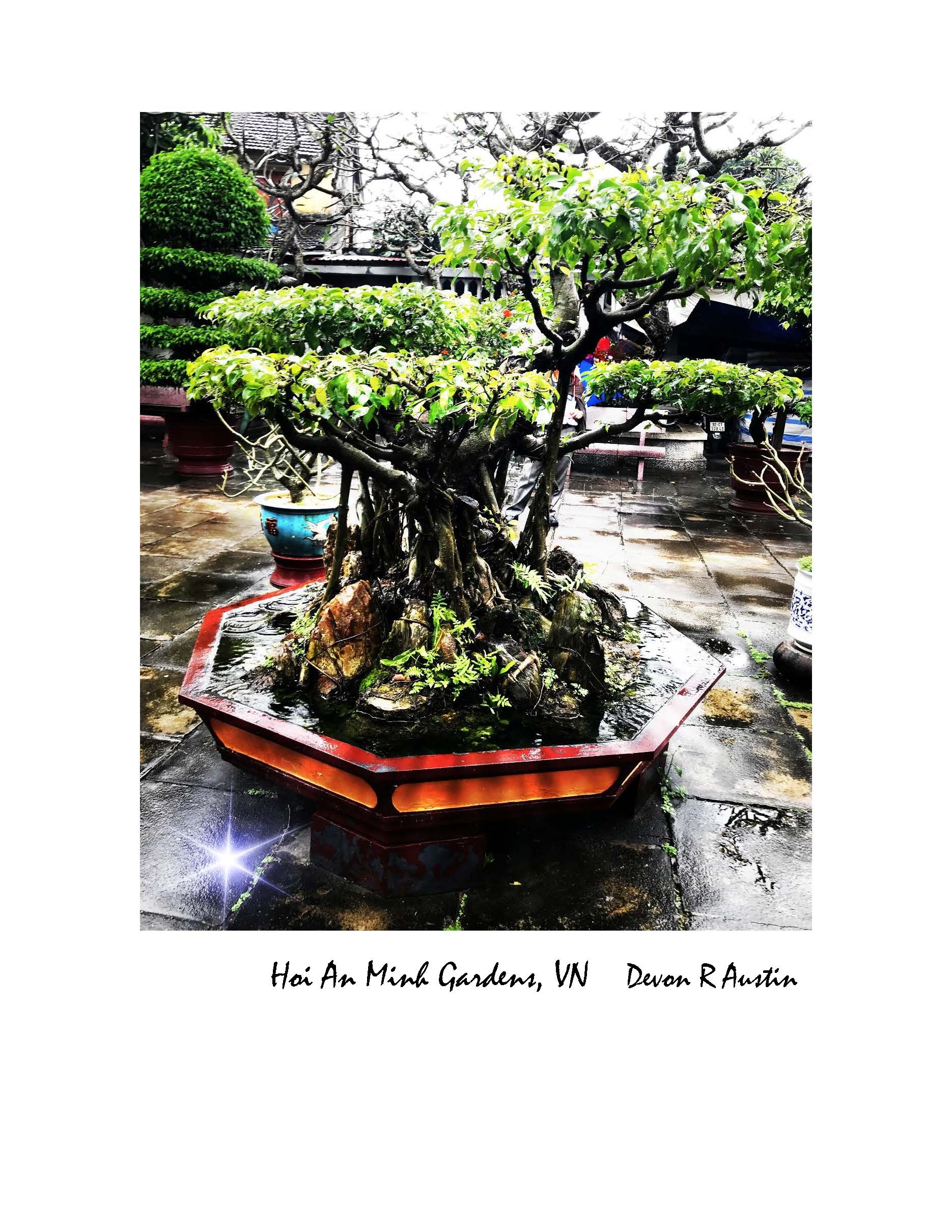 Hoi An Minh Gardens - Vietnam